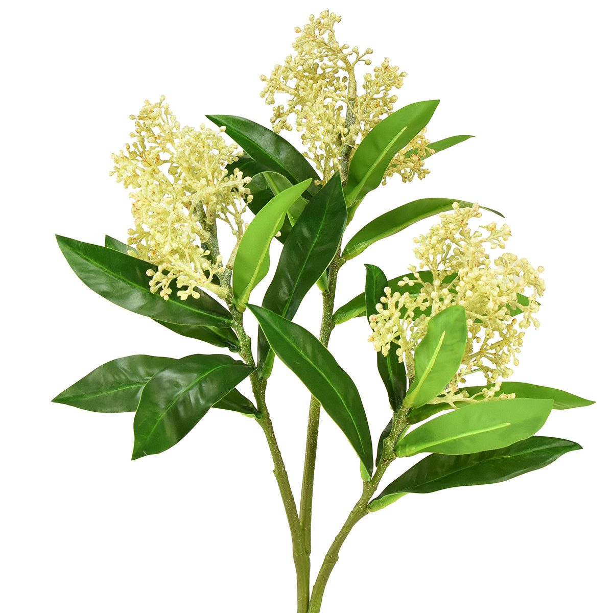 Kunstblume Künstliche Blumen Creme Skimmia japonica Skimmie 45cm 2St Deko