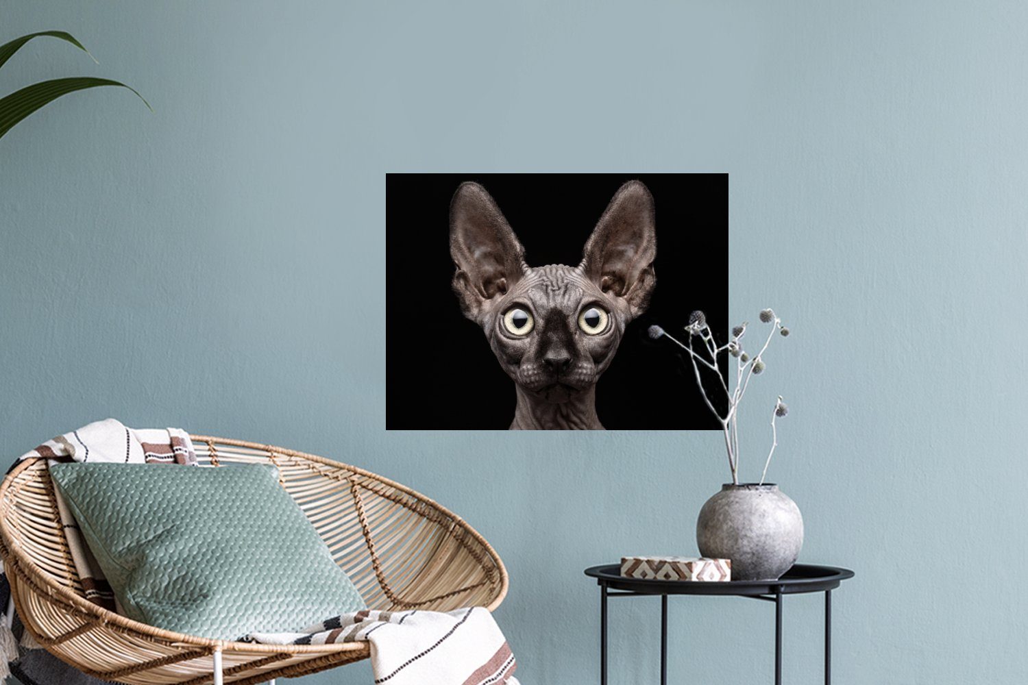 Katze MuchoWow Wandaufkleber, (1 - - Schwarz Wandtattoo, Haustiere Porträt Wohnzimmer, St), - Selbstklebend, Schlafzimmer Wandsticker