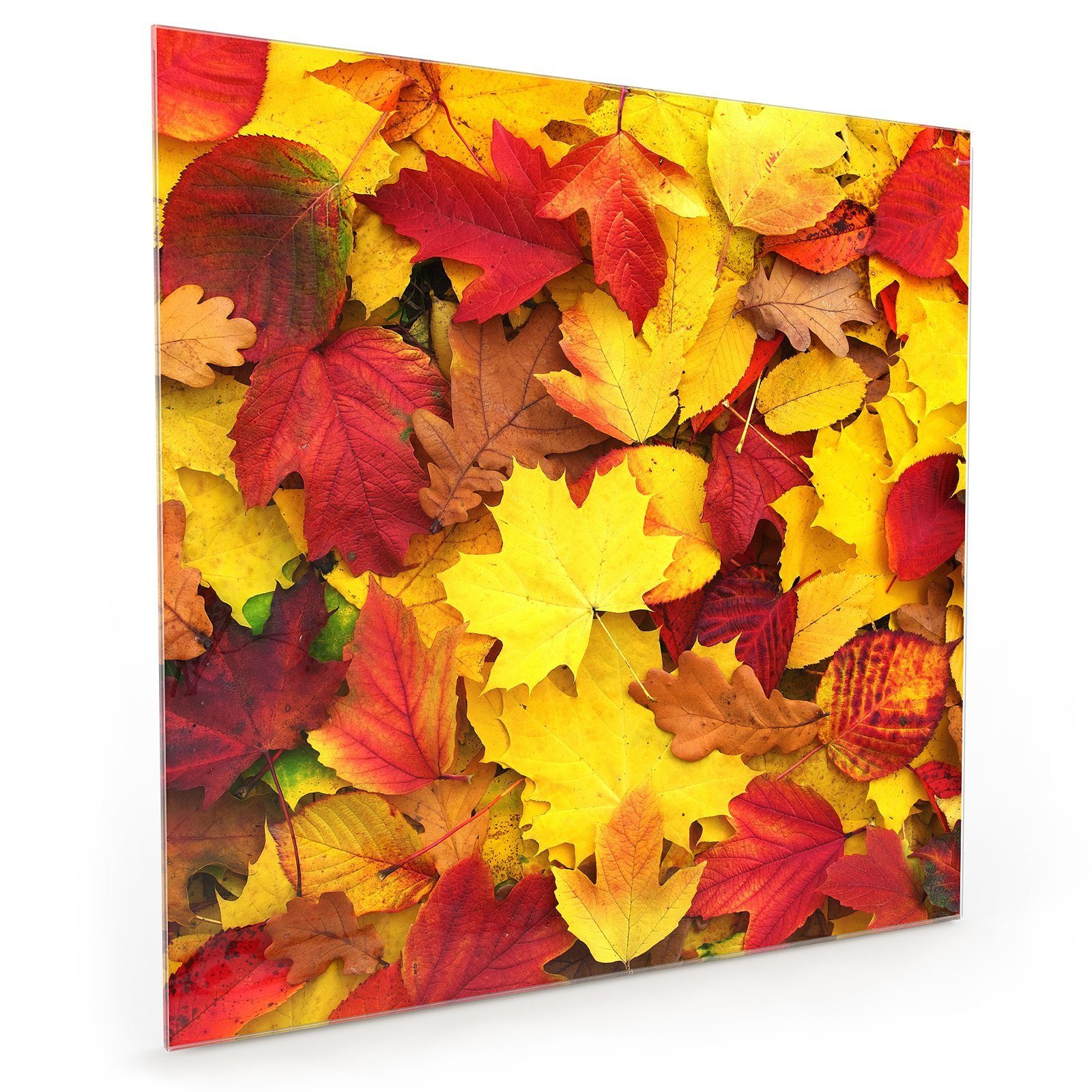 Glas Küchenrückwand Primedeco mit Gefallene Küchenrückwand Herbstblätter Spritzschutz Motiv