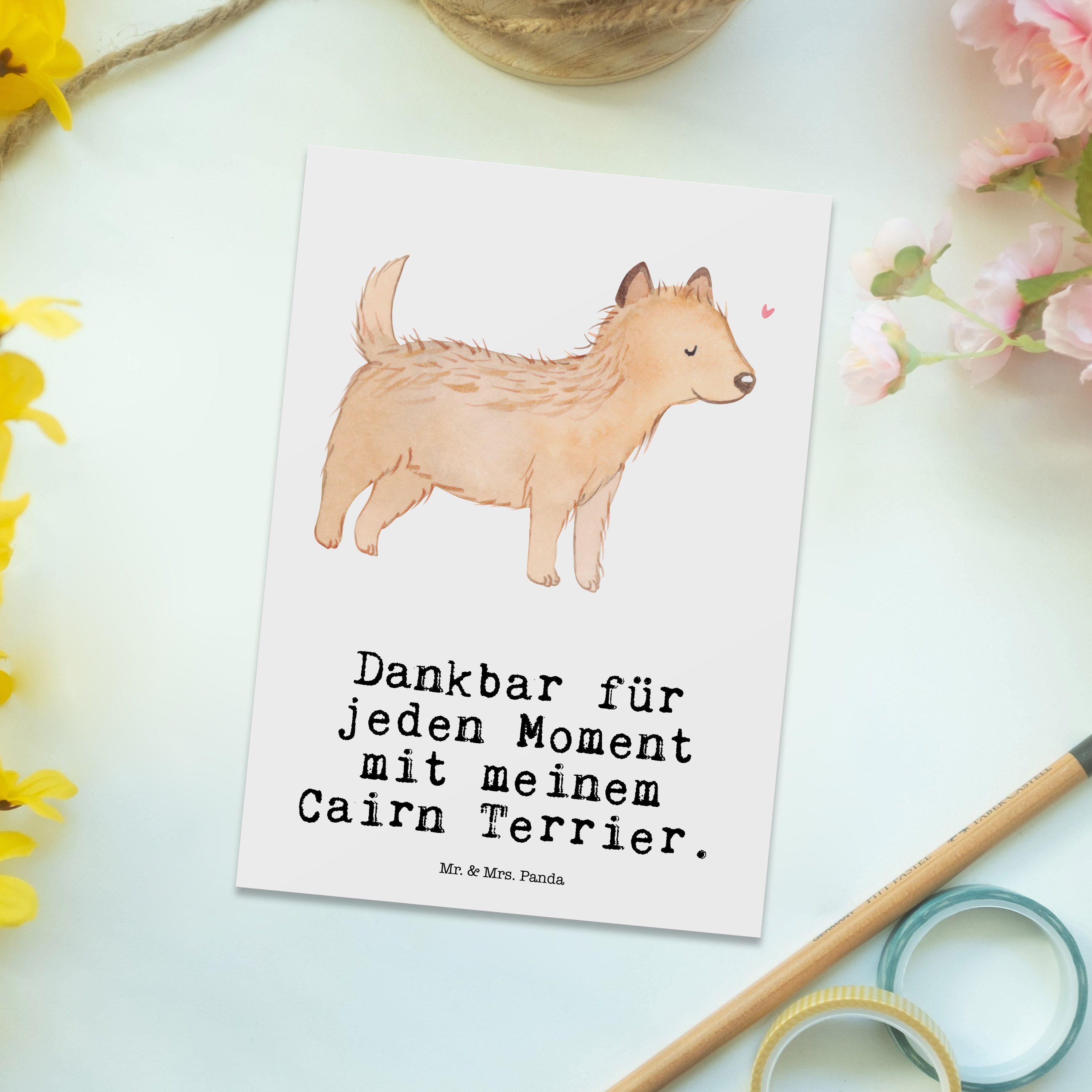 Mr. Hund, Geschenk, Postkarte Moment & - Hunderasse, Cairn Weiß Panda Geschenkkar - Mrs. Terrier
