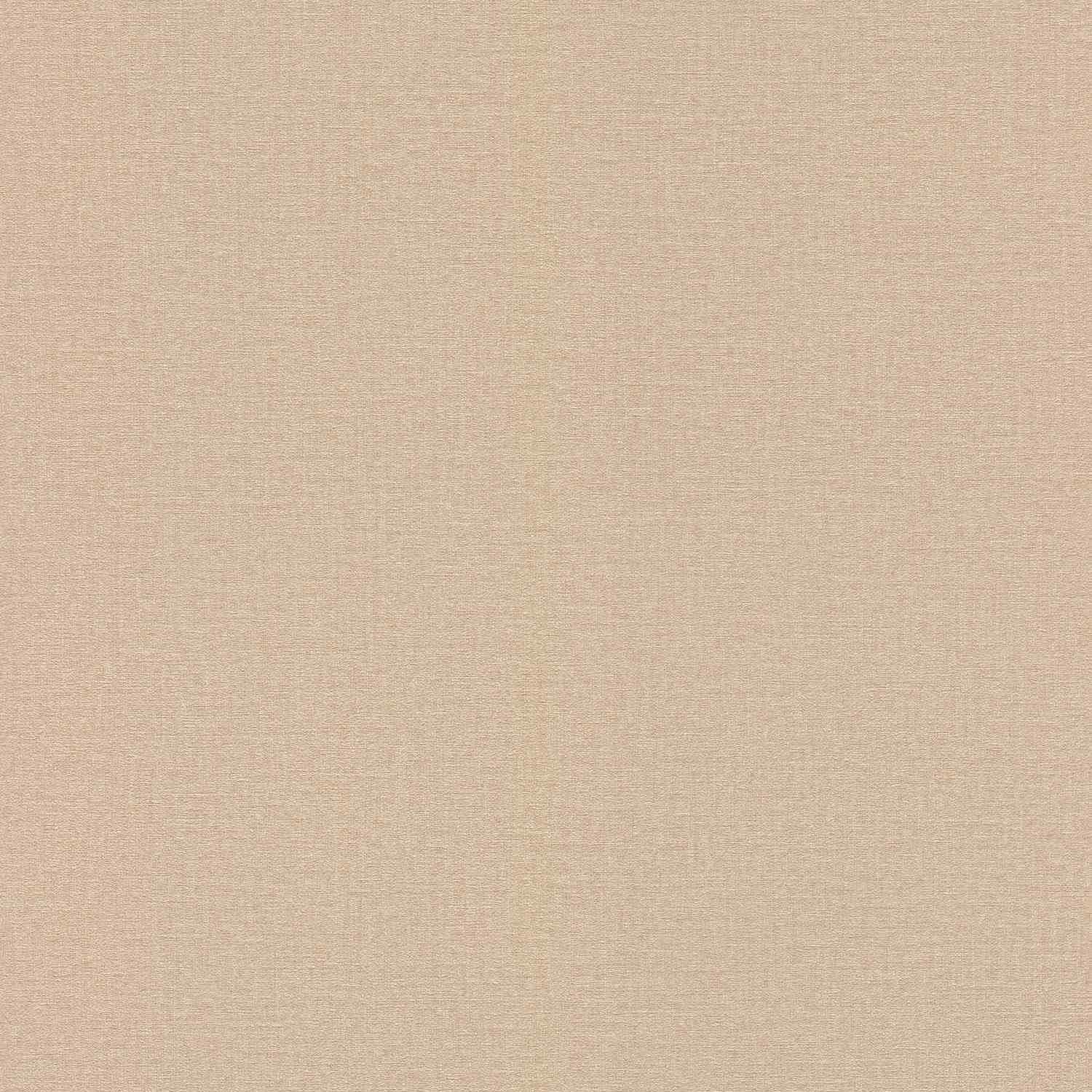 Vliestapete 555882 Tapete Uni Einfarbig 53 x 1005 cm Rasch Lirico Beige