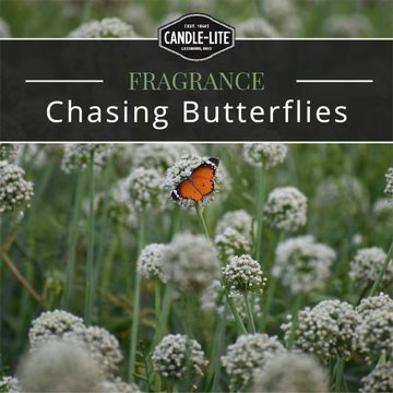 Candle-lite™ Duftkerze Duftkerze Chasing Butterflies - 510g (Einzelartikel)