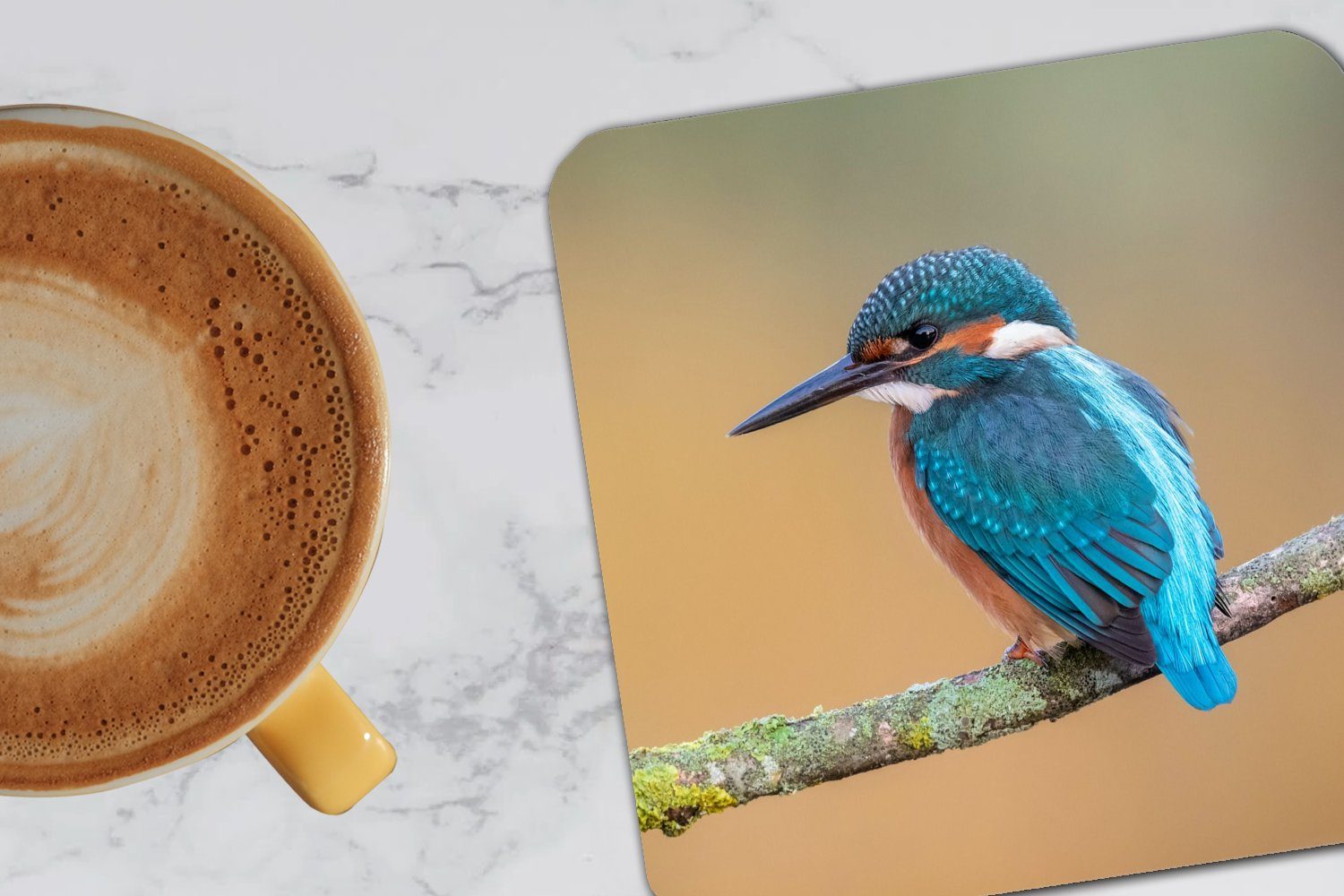 Korkuntersetzer, Tischuntersetzer, Gläser, 6-tlg., Zubehör - für Glasuntersetzer, Eisvogel MuchoWow Tasse Glasuntersetzer - Zweig, Untersetzer, - Tiere Vogel