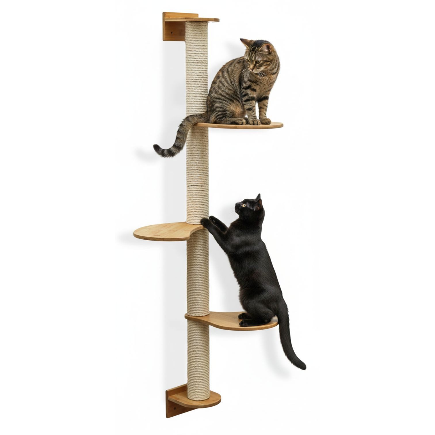 eyepower Kratzbaum zur Wandmontage-175 cm Wandkratzbaum für Katzen mit 3 Bambus Plateaus, Sistammstamm Wand - Katzenkratzbaum platzsparend - Kletterwand Katze
