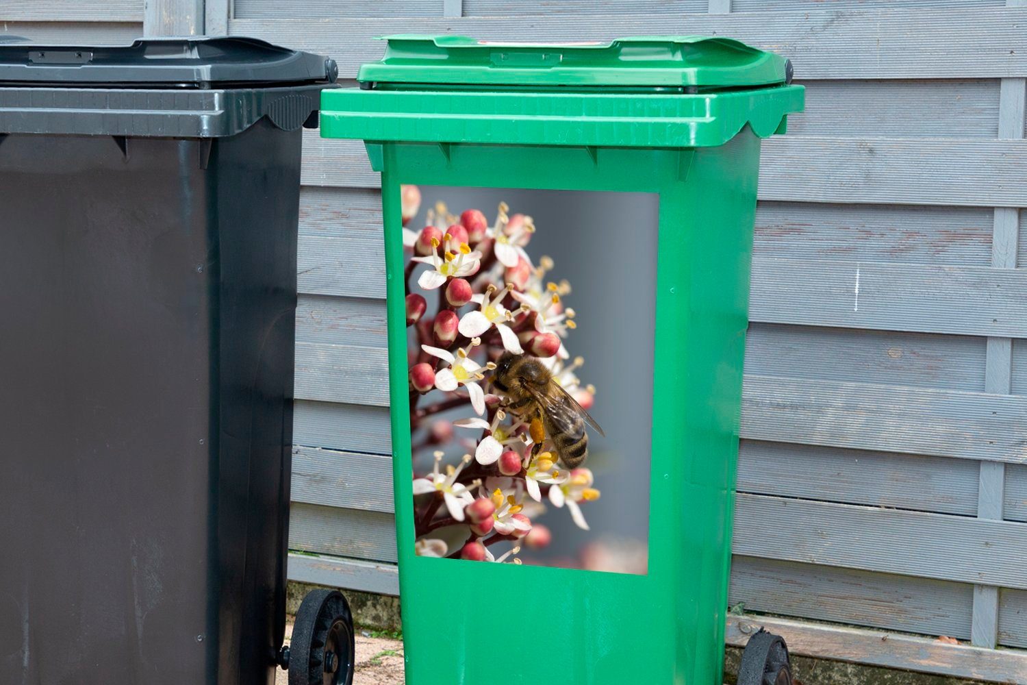 Mülltonne, Wandsticker auf Container, St), Sticker, Mülleimer-aufkleber, Skimmia-Blüte Honigbiene MuchoWow (1 Abfalbehälter