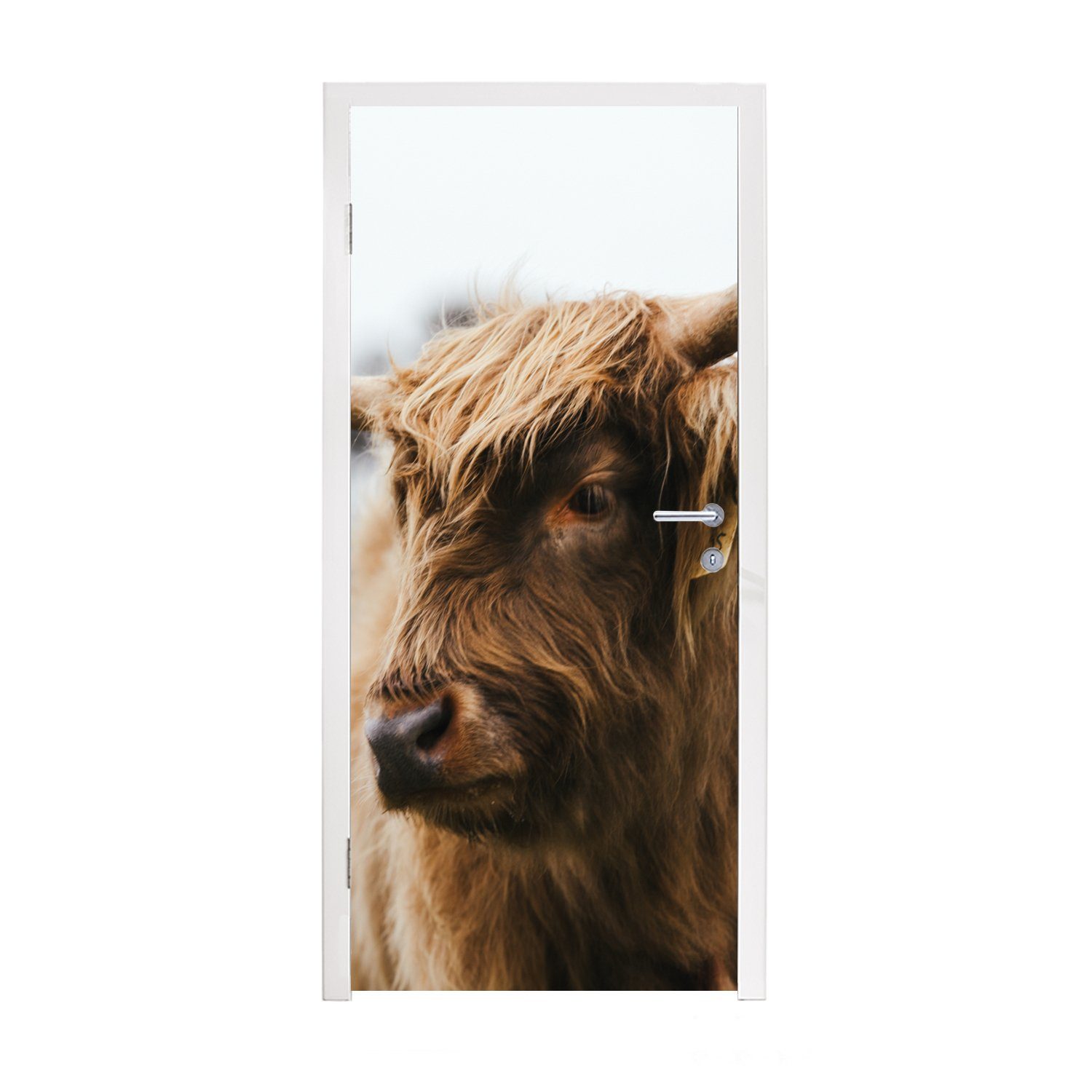 MuchoWow Türtapete Schottischer Highlander - Tiere - Hörner, Matt, bedruckt, (1 St), Fototapete für Tür, Türaufkleber, 75x205 cm