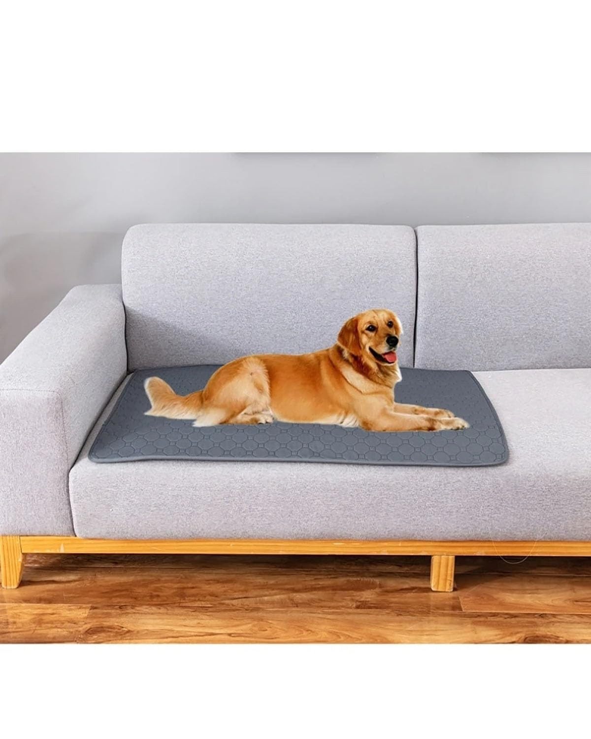 Thumbnail - Kaket Hundematte Waschbar Haustier-Urinunterlage, Wiederverwendbare Matten, für Hunde, Schnell Absorbierend