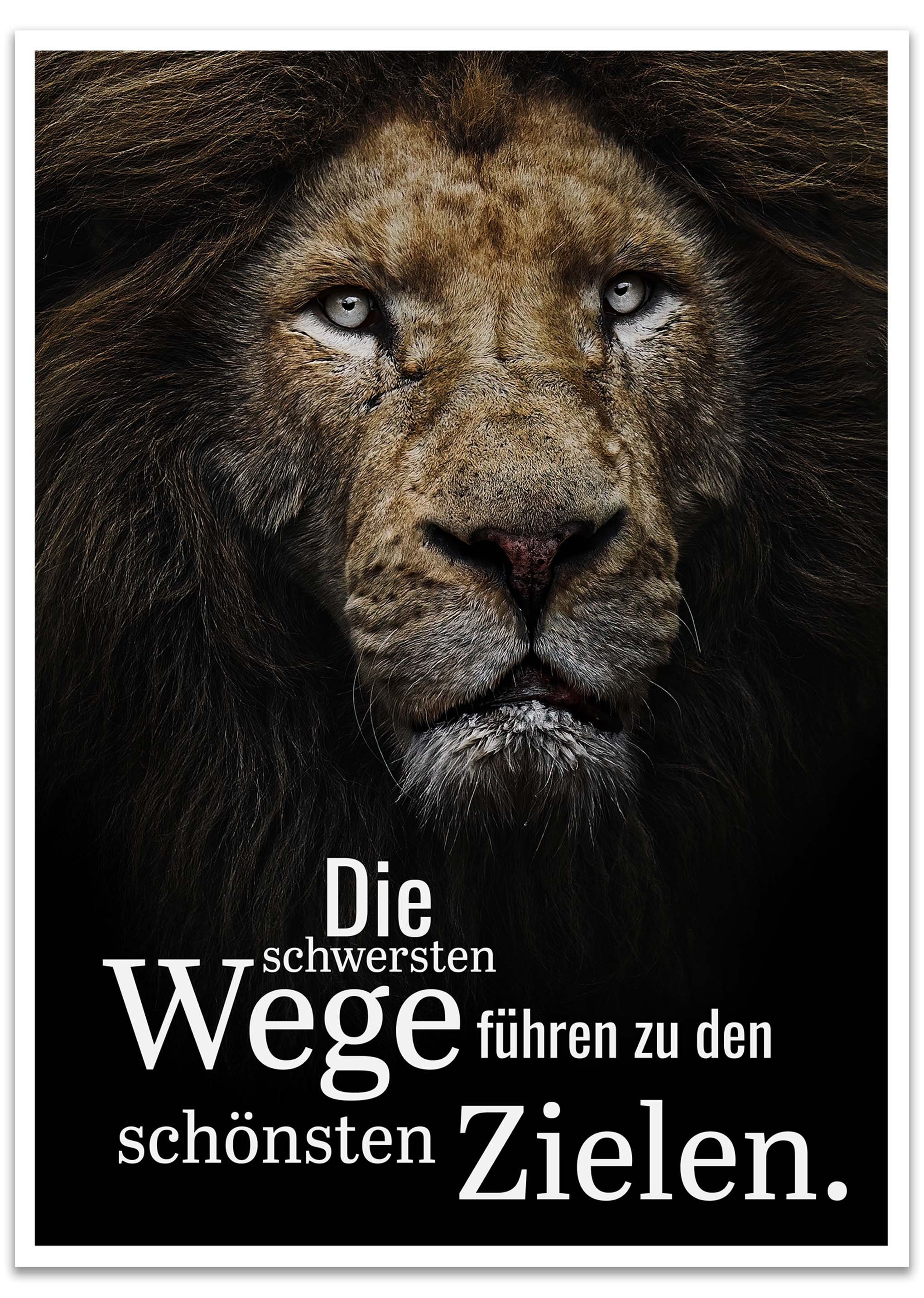 wandmotiv24 Poster Motivation, Spruch, Löwe, Sprüche (1 St), Wandbild, Wanddeko, Poster in versch. Größen