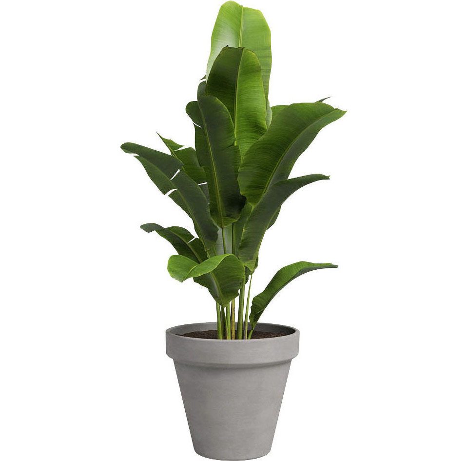 Artevasi Blumentopf Artevasi Pflanztopf Amália Terrakotta grau Ø 21 x