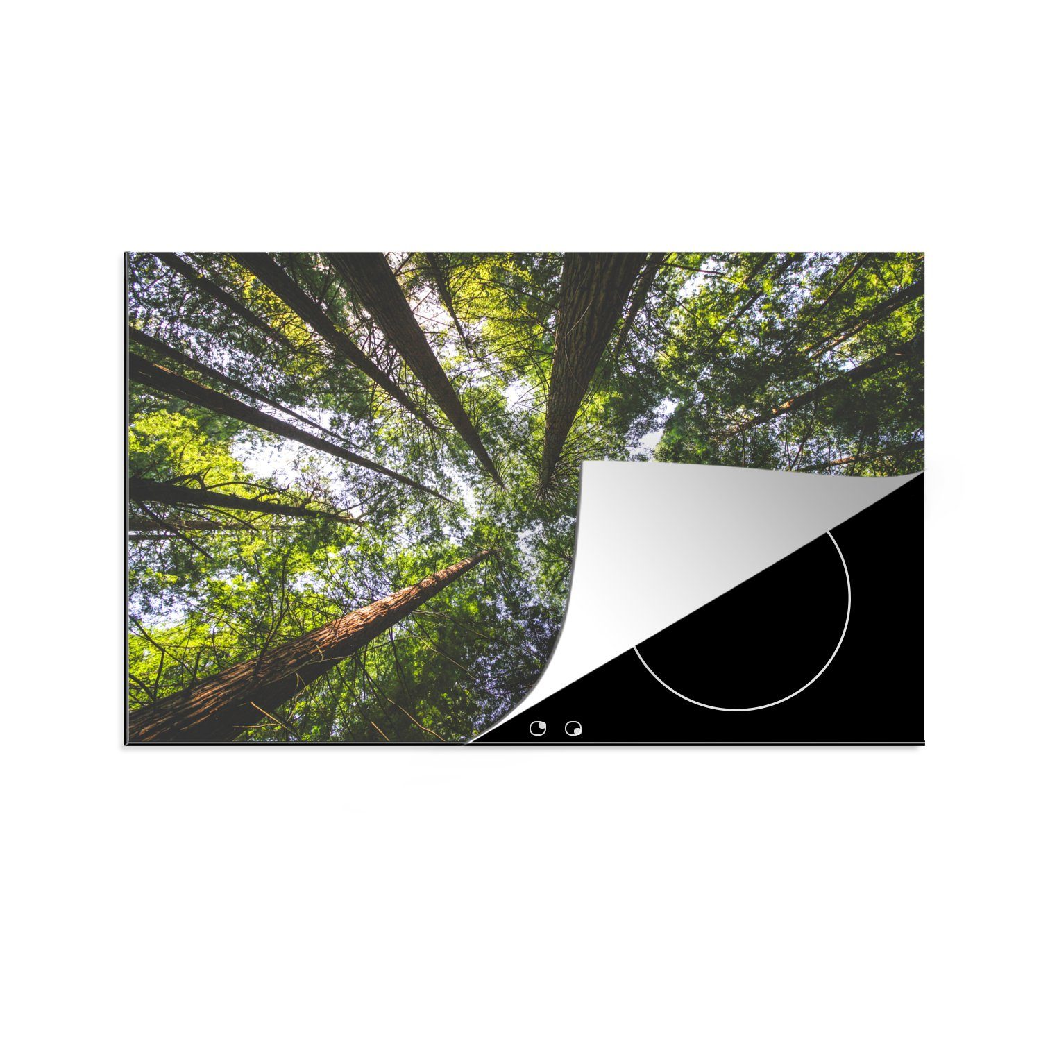 MuchoWow Herdblende-/Abdeckplatte Ansicht der Mammutbäume von unten, Vinyl, (1 tlg), 81x52 cm, Induktionskochfeld Schutz für die küche, Ceranfeldabdeckung