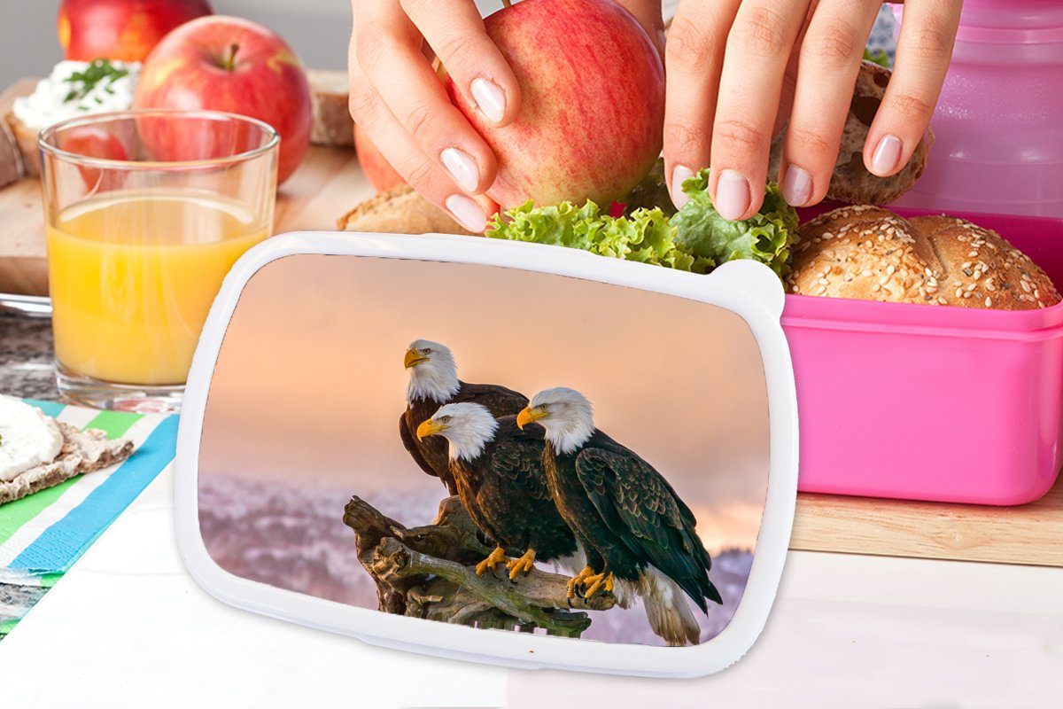 MuchoWow Lunchbox Vögel Brotdose Mädchen, - Natur Kunststoff, Raubvögel Brotbox für Erwachsene, Snackbox, rosa Adler, Kinder, Kunststoff - - (2-tlg)