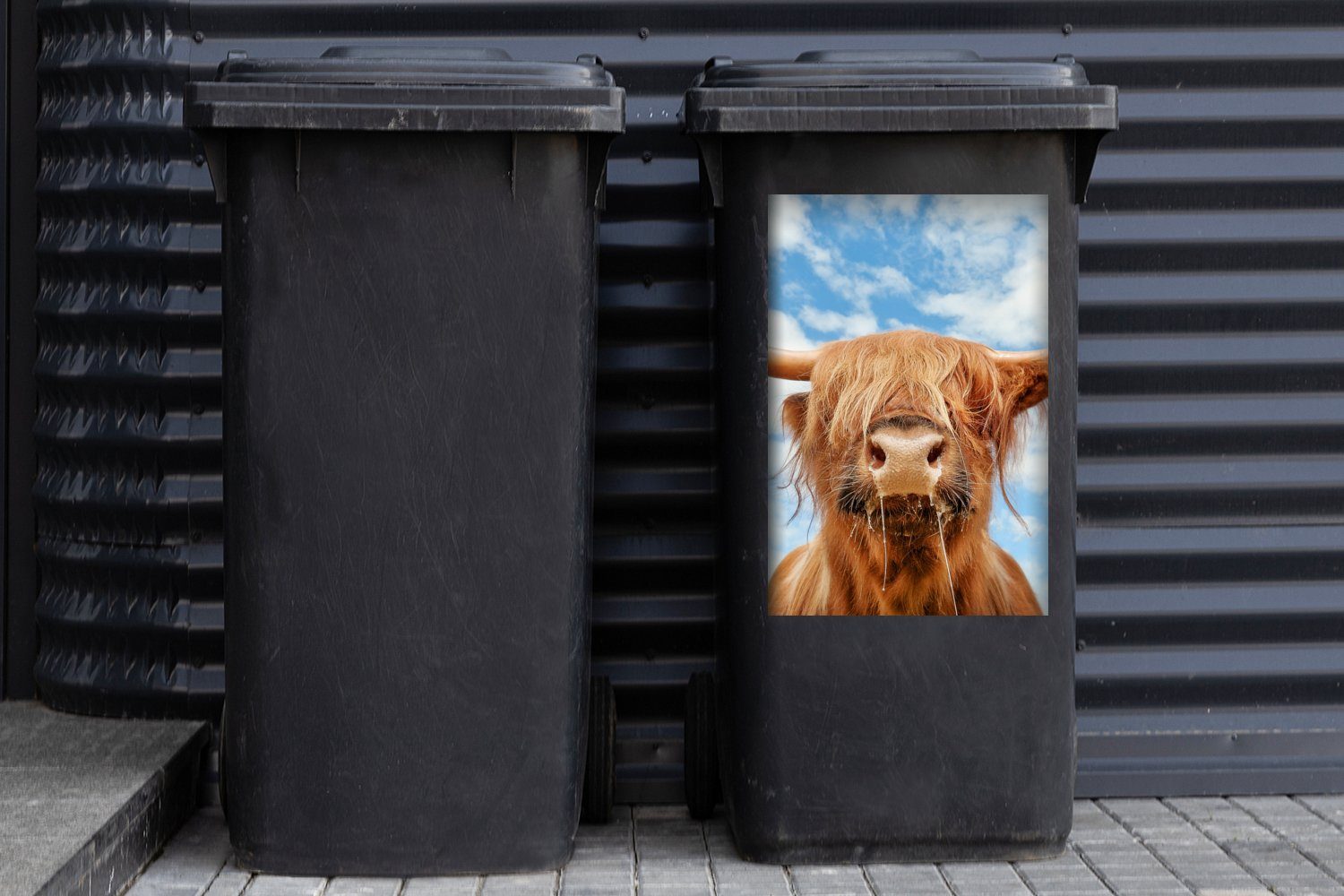 Container, - (1 Wolke Mülleimer-aufkleber, MuchoWow Highlander - Tiere Abfalbehälter St), Schottischer Wandsticker Mülltonne, Sticker,