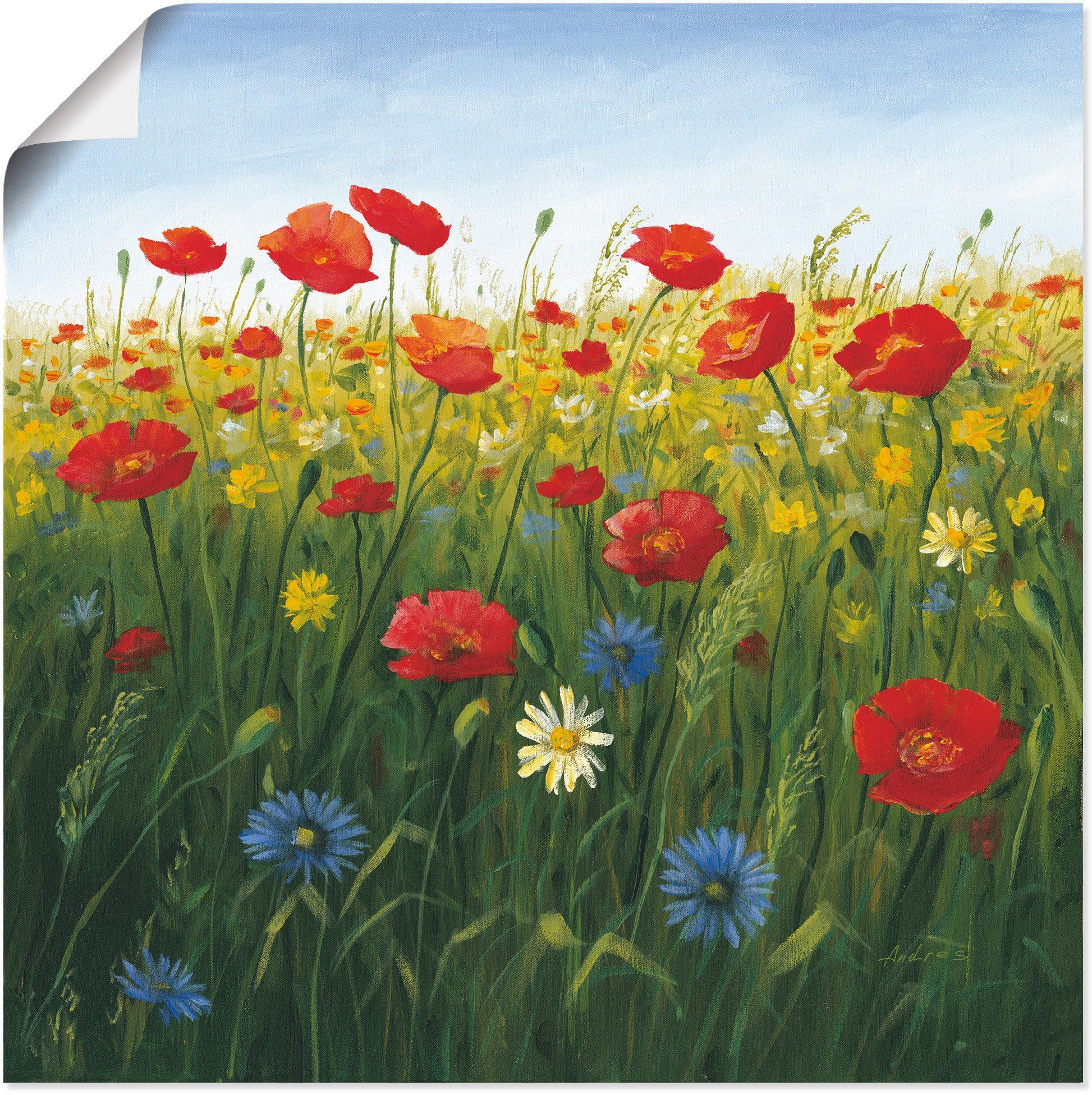 Artland Wandbild Mohnblumen Landschaft I, (1 St), Poster Wandaufkleber als in Größen versch. Alubild, Leinwandbild, Blumenwiese oder