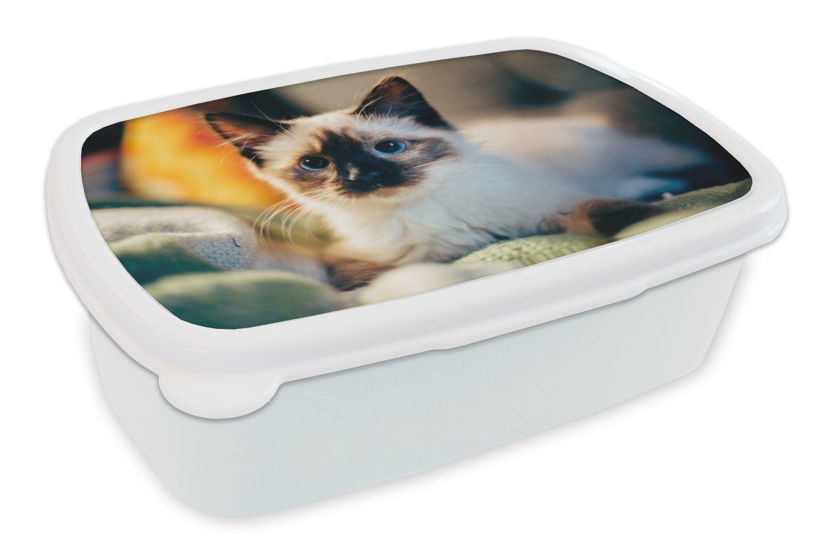 MuchoWow Lunchbox Katze - Fell - Schwarz, Kunststoff, (2-tlg), Brotbox für Kinder und Erwachsene, Brotdose, für Jungs und Mädchen weiß