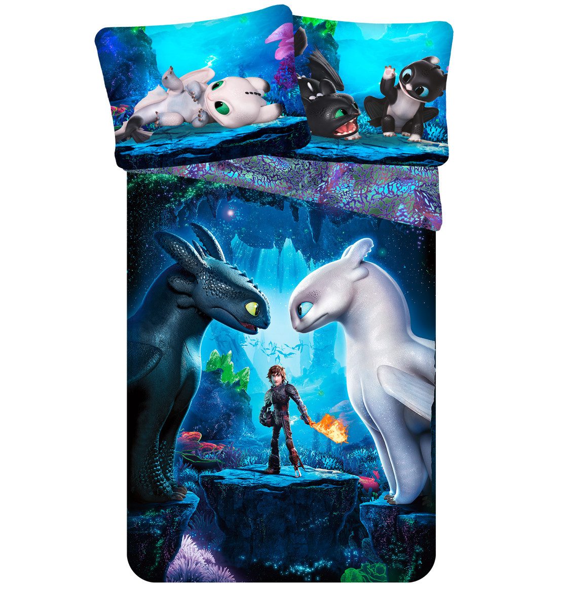 Universal Pictures Bettwäsche Bettwäsche Drachenzähmen leicht gemacht Wende günstig online kaufen