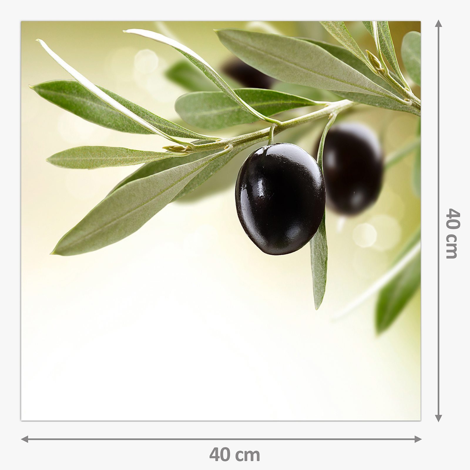 Olivenzwei Spritzschutz Glas Küchenrückwand Primedeco