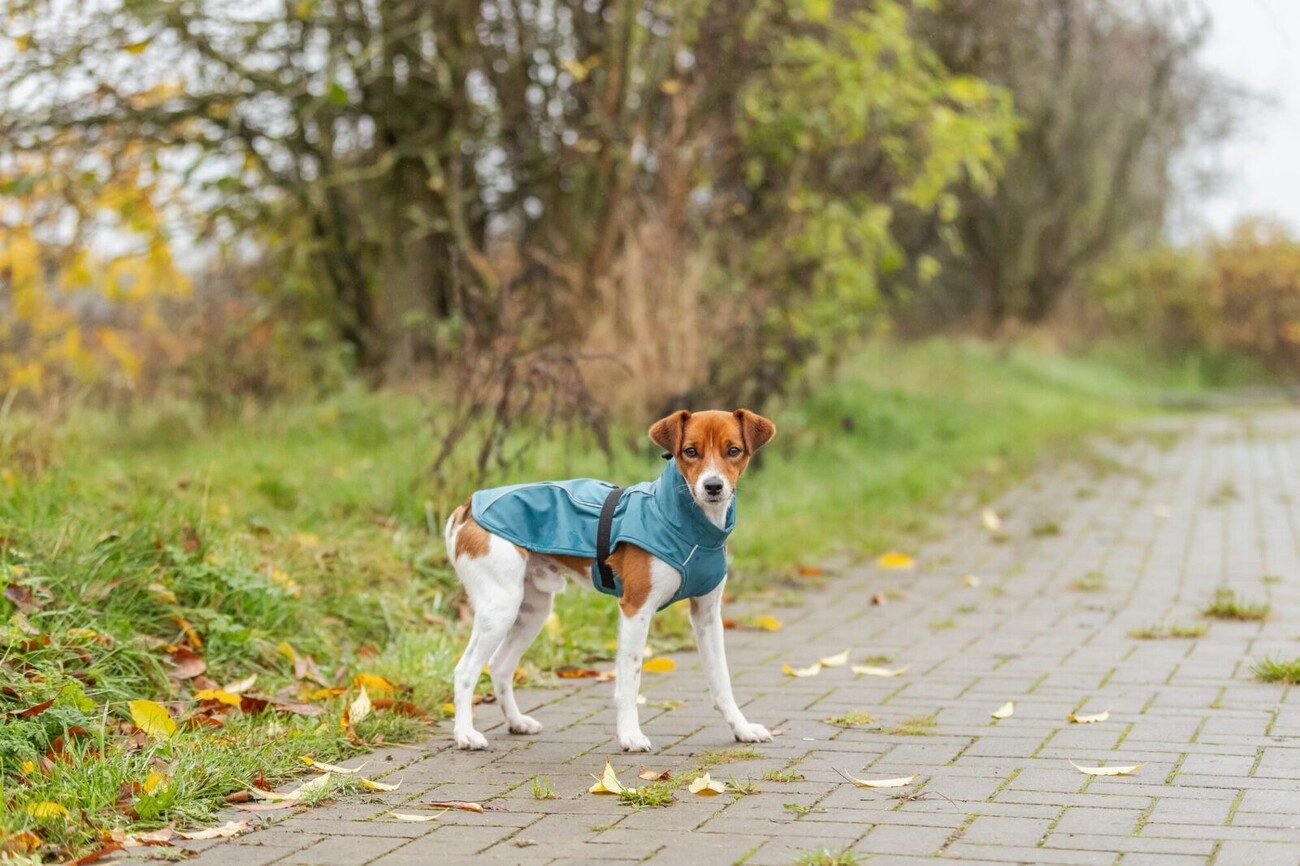 TRIXIE Hundemantel Vimy Bauchschutz
