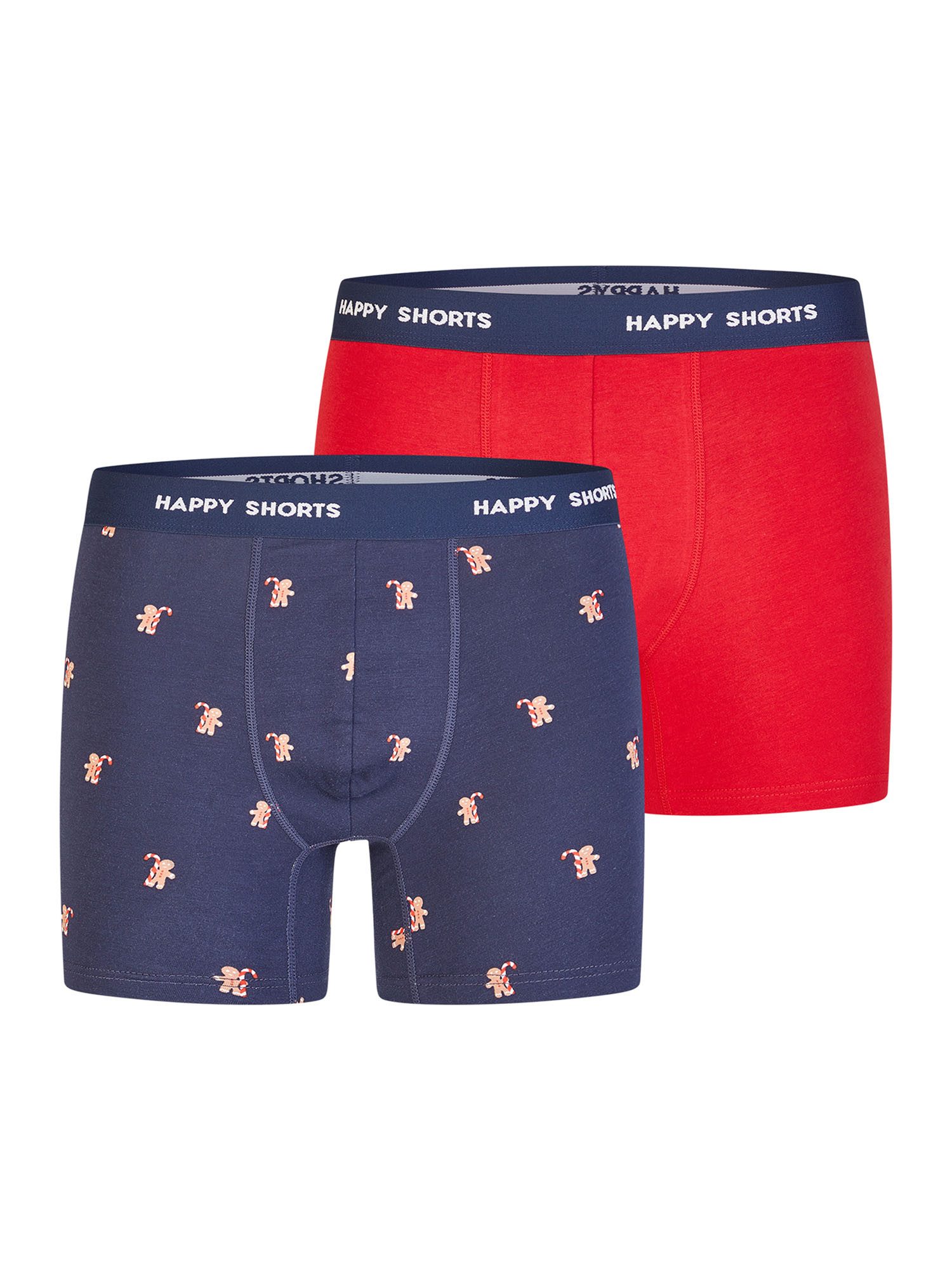 Boxer Christmas
