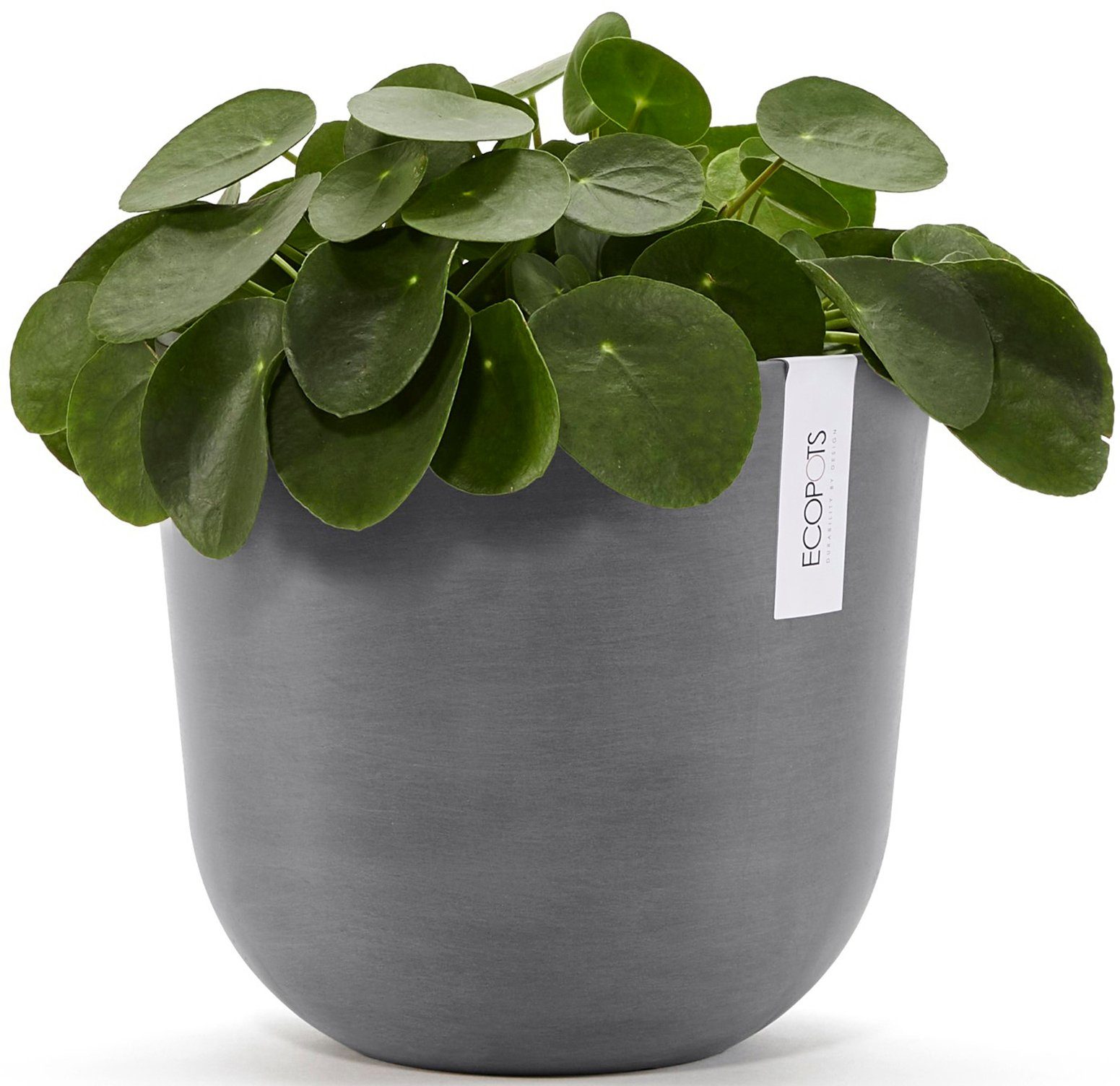 ECOPOTS Blumentopf Oslo 25 Grau, für innen und außen: frostsicher, bruchsic günstig online kaufen
