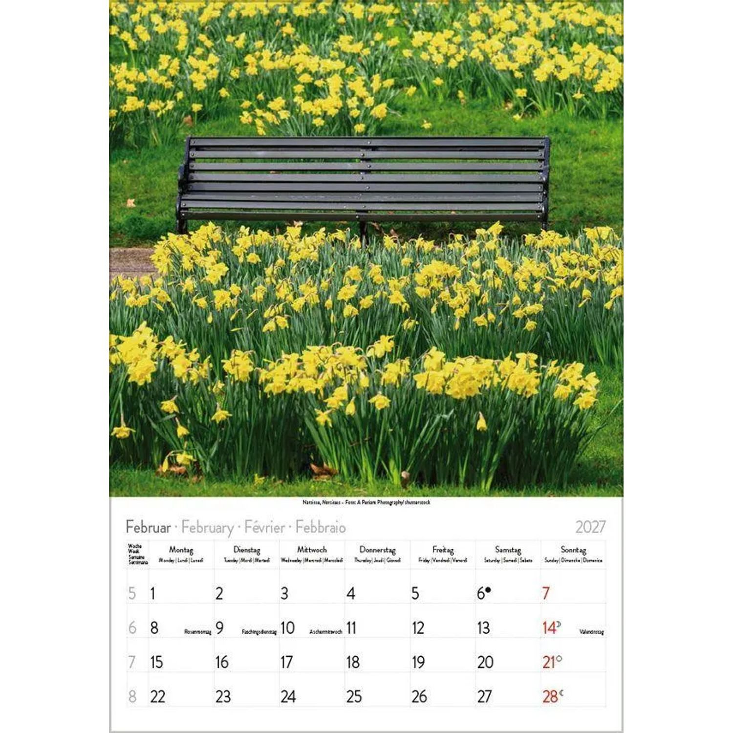 Korsch Verlag Wandkalender Blütenzauber 2027 – Bild 3 von 5