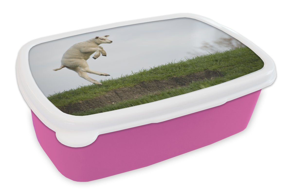 MuchoWow Lunchbox Schafe - Gras - Frühling, Kunststoff, (2-tlg), Brotbox für Erwachsene, Brotdose Kinder, Snackbox, Mädchen, Kunststoff rosa