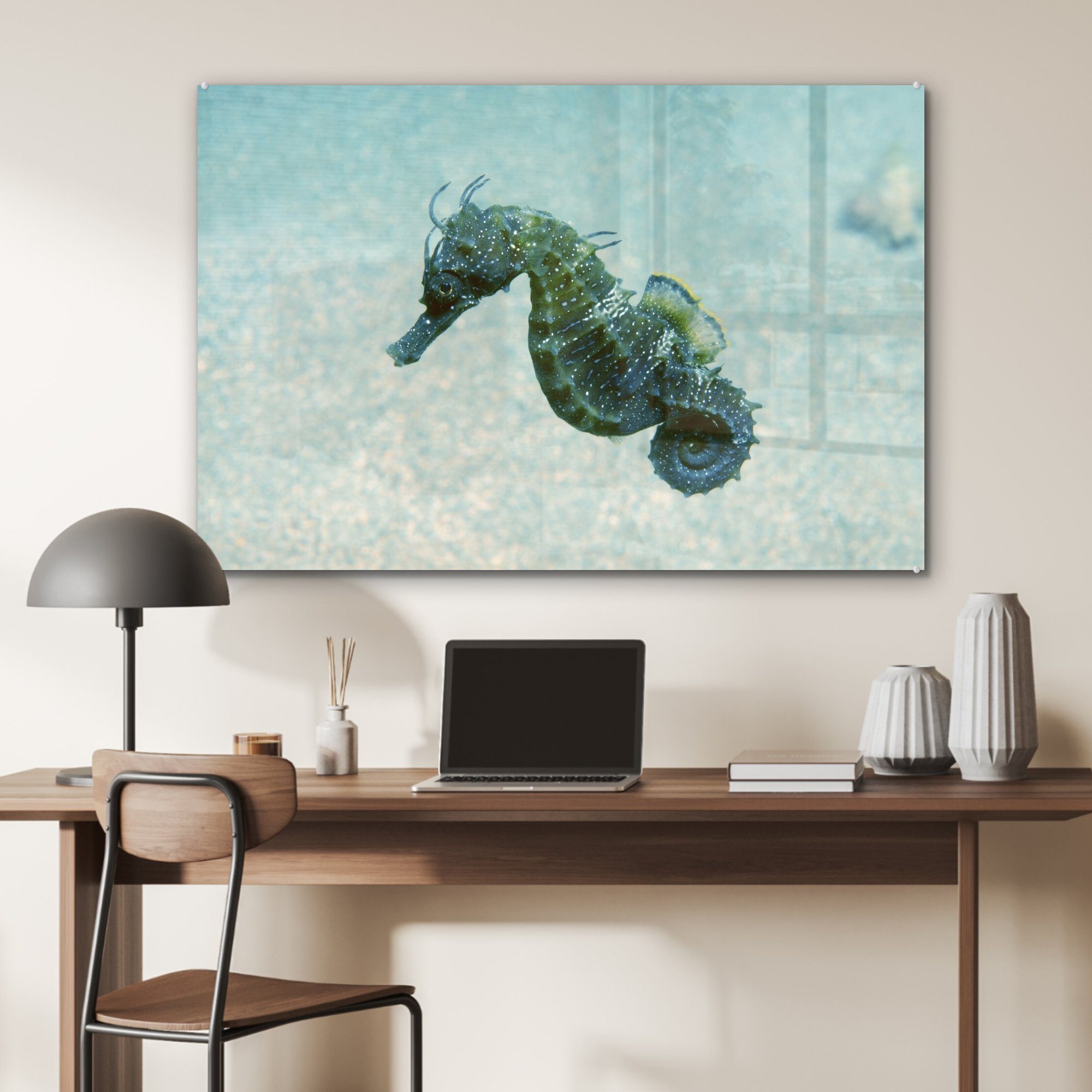 im eines MuchoWow & Meer, St), Schlafzimmer (1 Acrylglasbilder Acrylglasbild Seepferdchens Wohnzimmer Bild