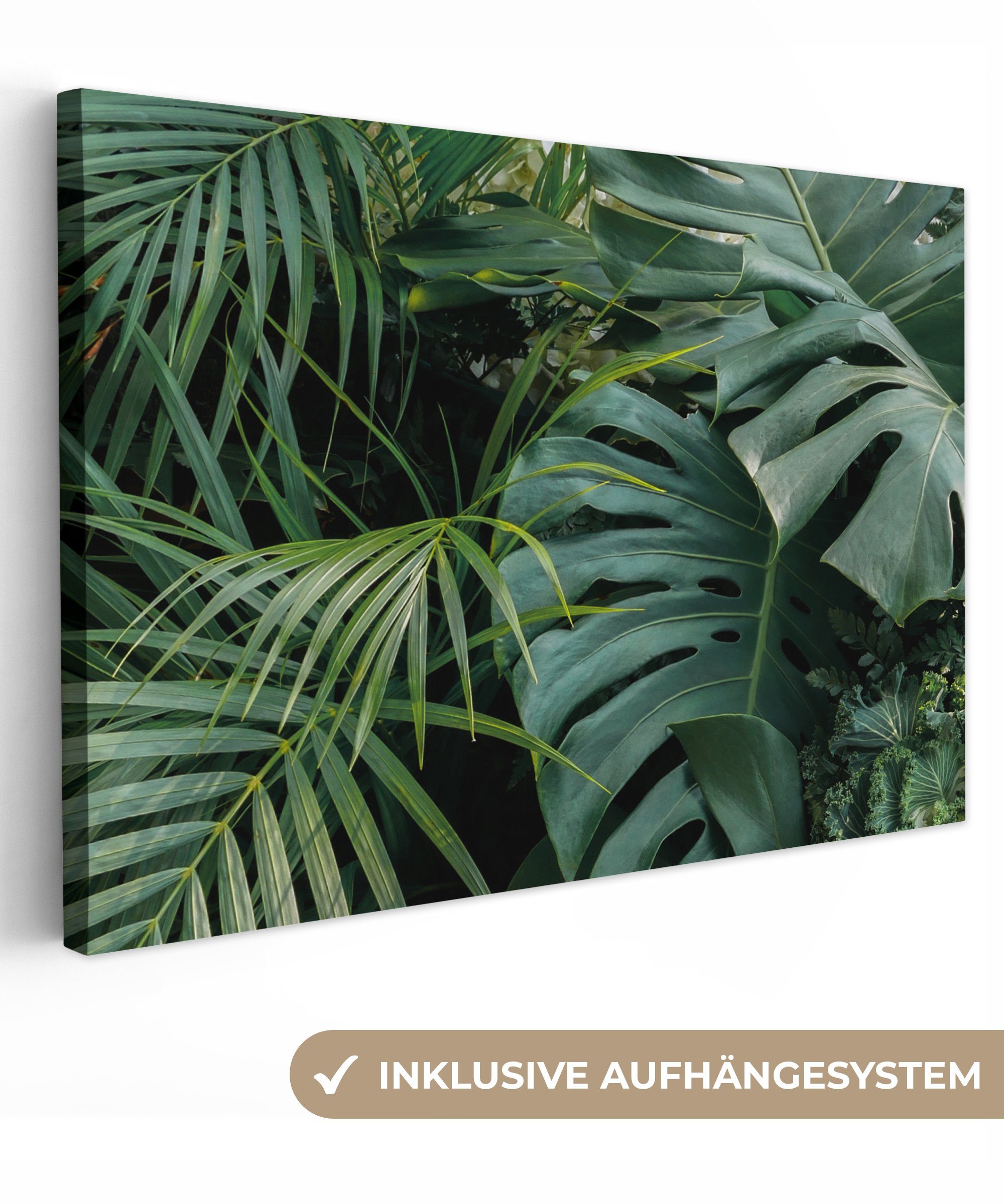 OneMillionCanvasses® Leinwandbild Pflanzen - Dschungel - Blätter - Tropisch, Fotodruck (1 St), Leinwand Bilder Klein, Wand Dekoration Aesthetic 30x20 cm