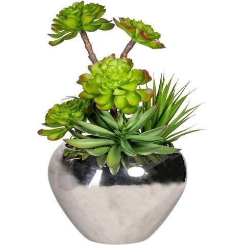 Kunstpflanze Sukkulenten, Creativ green, Höhe 35 cm
