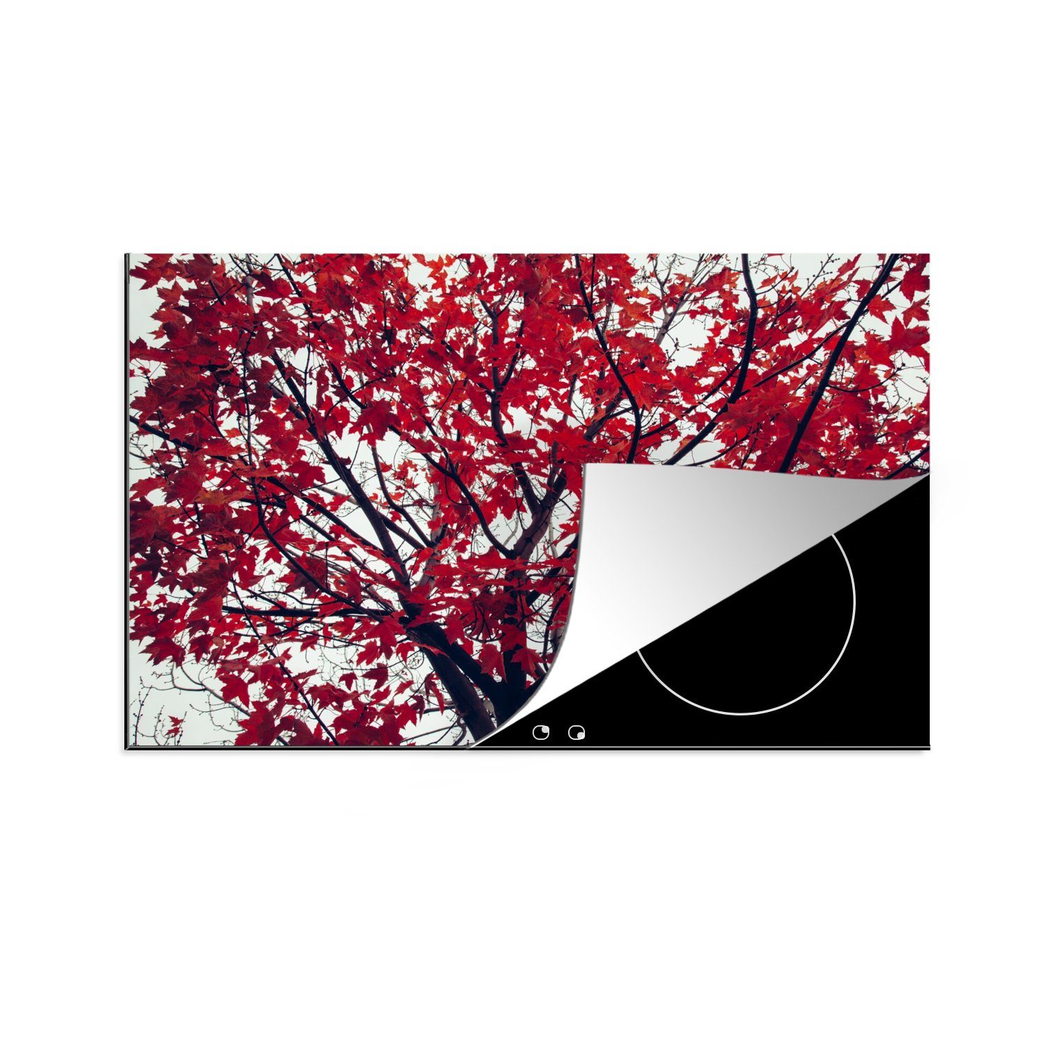 MuchoWow Herdblende-/Abdeckplatte Ahorn - Blätter - Herbst - Natur, Vinyl, (1 tlg), 80x52 cm, Induktionskochfeld Schutz für die küche, Ceranfeldabdeckung