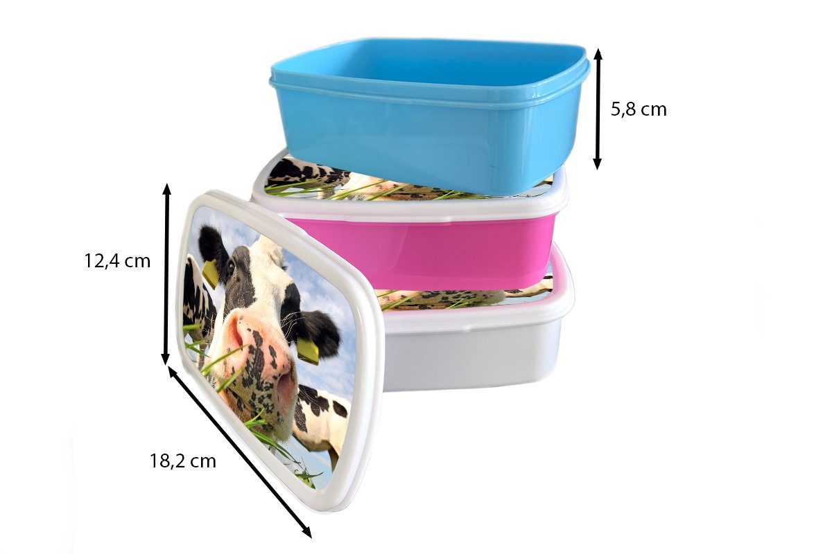 Bauernhof für (2-tlg), Tiere, Brotbox Mädchen Gras - Lunchbox - und - und Brotdose, für Kuh Erwachsene, Kunststoff, weiß MuchoWow Kinder Jungs