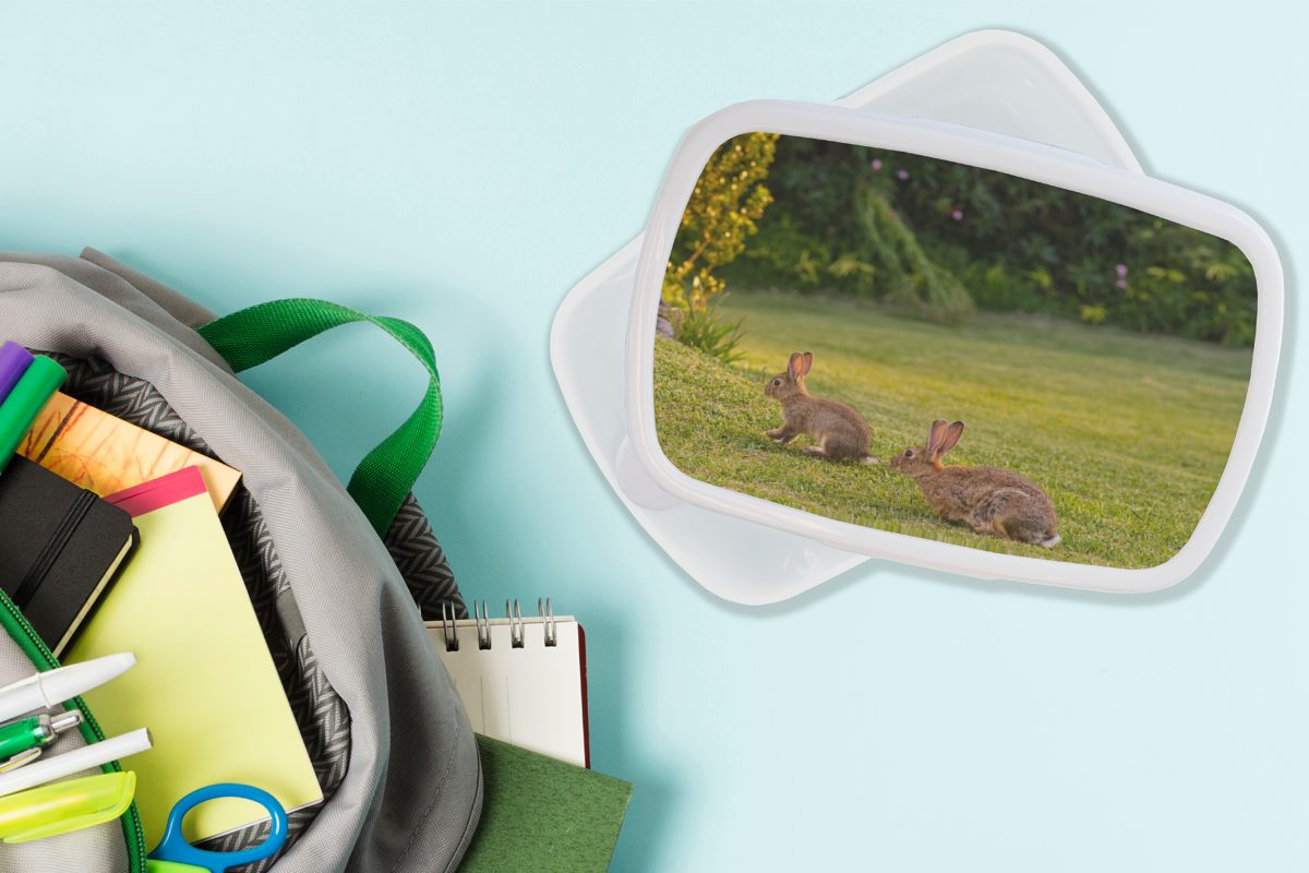 Brotbox Kunststoff, Brotdose, für für (2-tlg), Tiere, Mädchen - und - Kinder weiß Kaninchen Lunchbox und MuchoWow Jungs Wild Erwachsene,