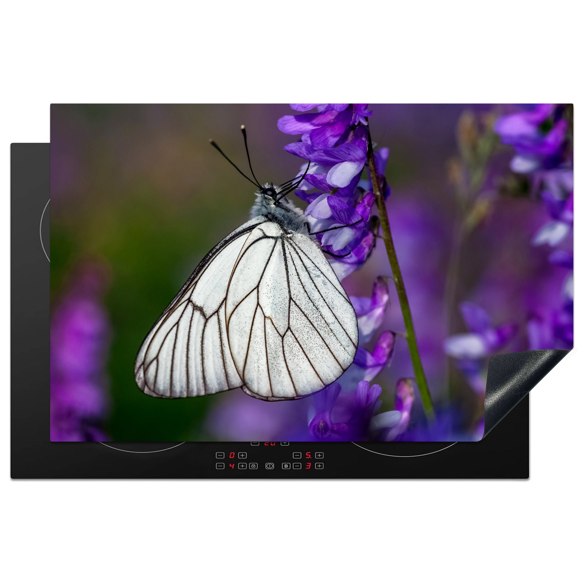 MuchoWow Herdblende-/Abdeckplatte Schwarzgeäderter weißer Schmetterling auf einer Blüte, Vinyl, (1 tlg), 81x52 cm, Induktionskochfeld Schutz für die küche, Ceranfeldabdeckung