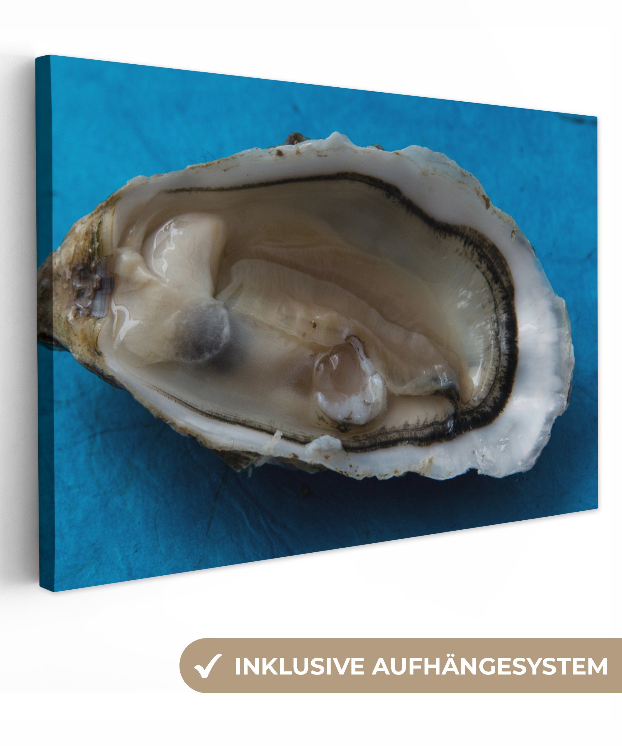 OneMillionCanvasses® Leinwandbild Normandie-Austern, (1 St), Wandbild Leinwandbilder, Aufhängefertig, Wanddeko, 30x20 cm