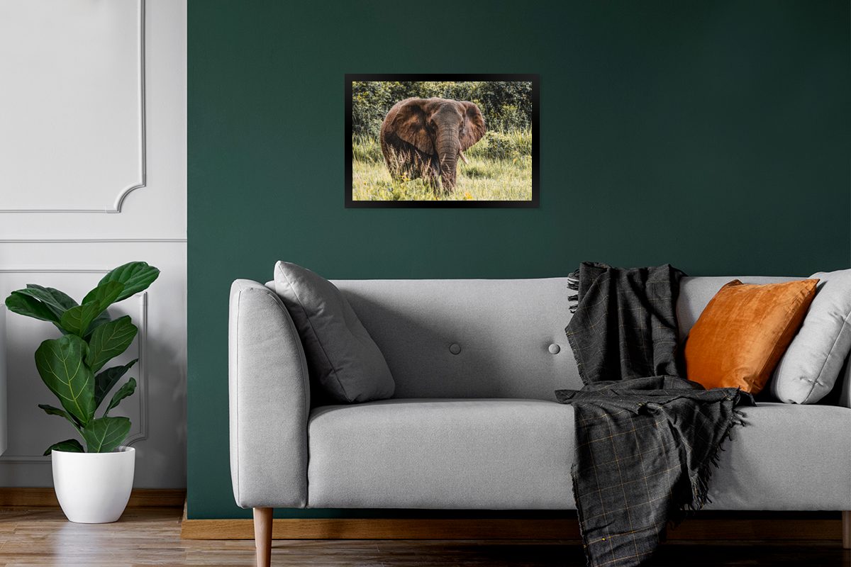 Wanddeko, Bilderrahmen Poster - Bilder, Schwarzem Poster, Elefant Natur Gerahmtes - Gras, (1 MuchoWow St), Wandposter,