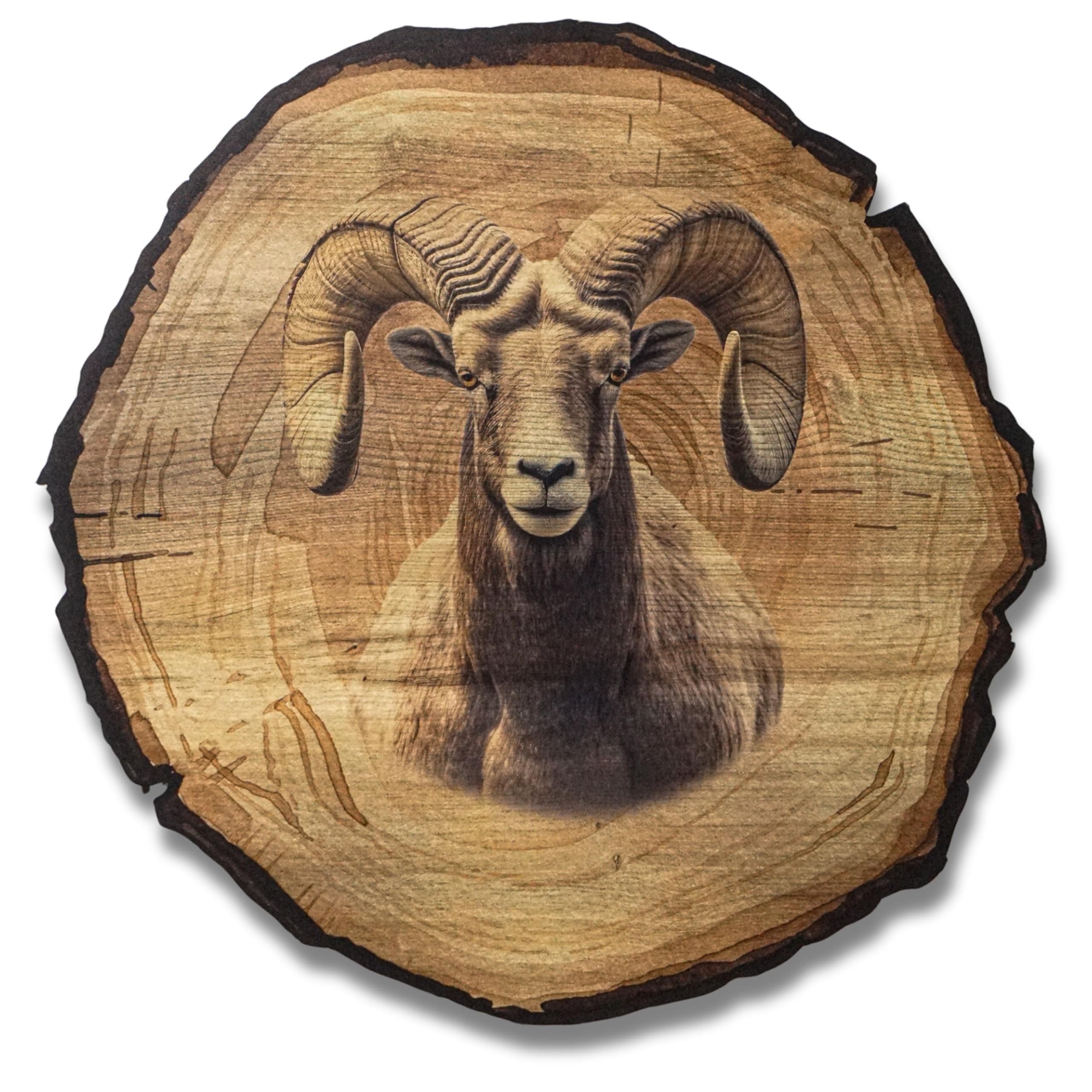DARO Design Wandbild Wildtiere Jagd Wandbilder Wand Deko Bilder Natur, (Widder - Bild klein Wohnzimmer Flur Arbeitszimmer Schlafzimmer Diele Einteilig Rund Fotodruck Jagd & Wildtiere), 20cm