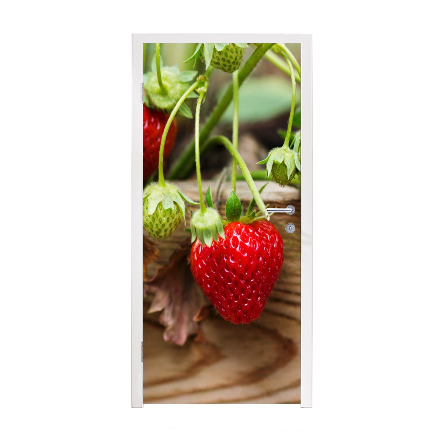 MuchoWow Türtapete Erdbeere - Pflanze (1 75x205 cm Fototapete Türaufkleber, für bedruckt, Tür, Holz, Matt, St), 