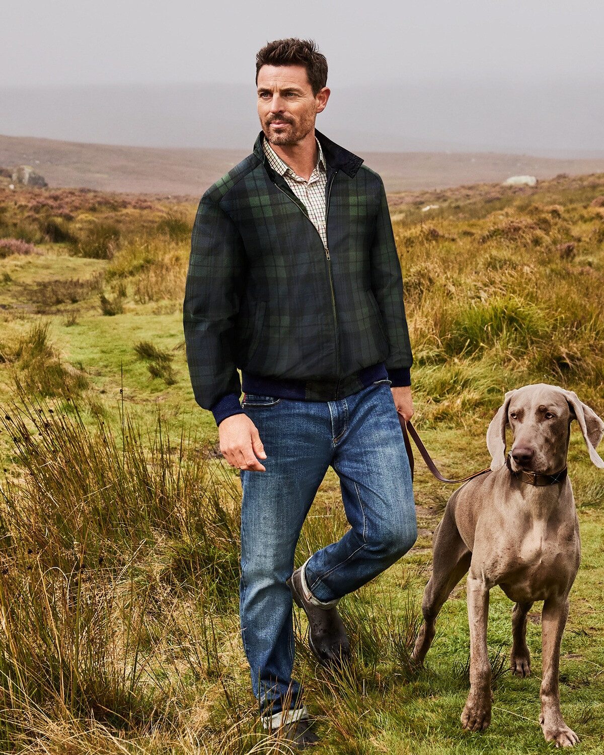 Alan Paine Blouson Blouson Letson
