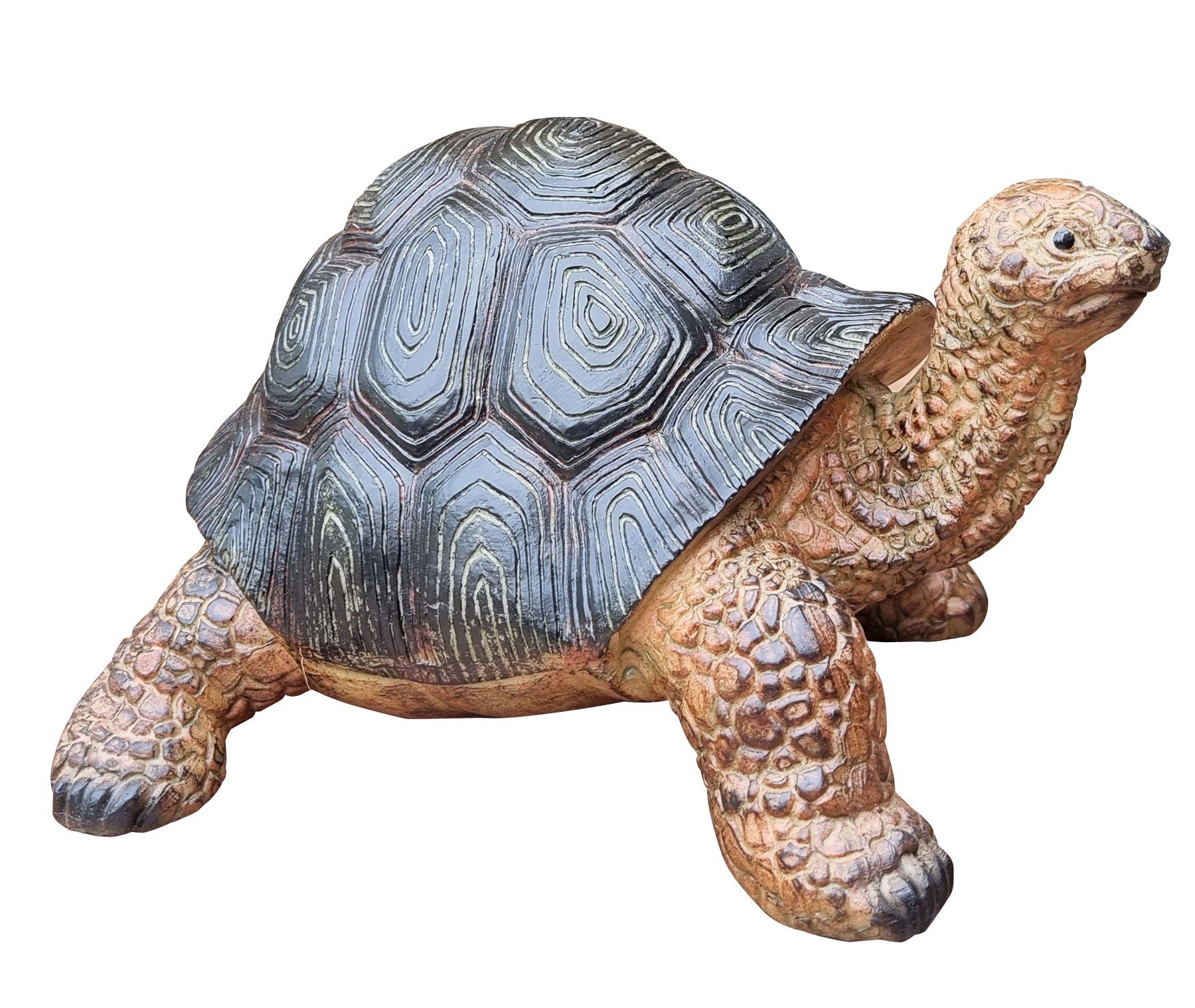 Fachhandel Schildkröte (1 St), Plus lebensechte Garten-Deko-Figur Gartenfigur Frieda,