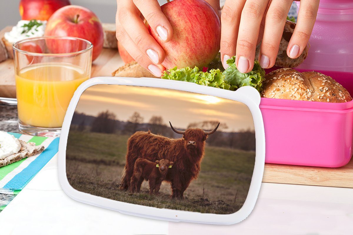 Brotbox rosa Lunchbox für Tiere - - Mädchen, Kuh, MuchoWow Kunststoff Landschaft Kunststoff, Kinder, Erwachsene, - Brotdose (2-tlg), Highlander Snackbox, Sonnenuntergang - Schottische