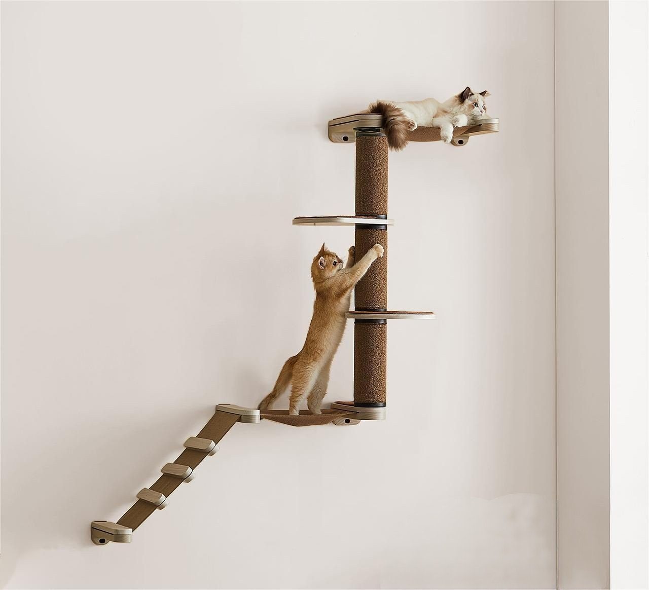 FEANDREA Katzen-Kletterwand, Kratzbaum Clickat Katzenmöbel 3er Set, mit Leiter,101cm Kratzsäule