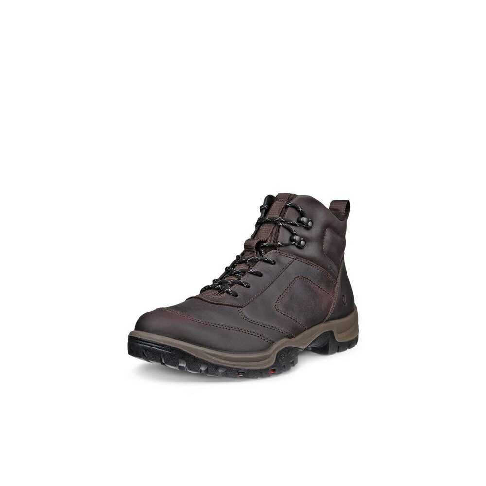 Ecco Ecco - Stiefel: XPEDITION III M - Braun Stiefel günstig online kaufen