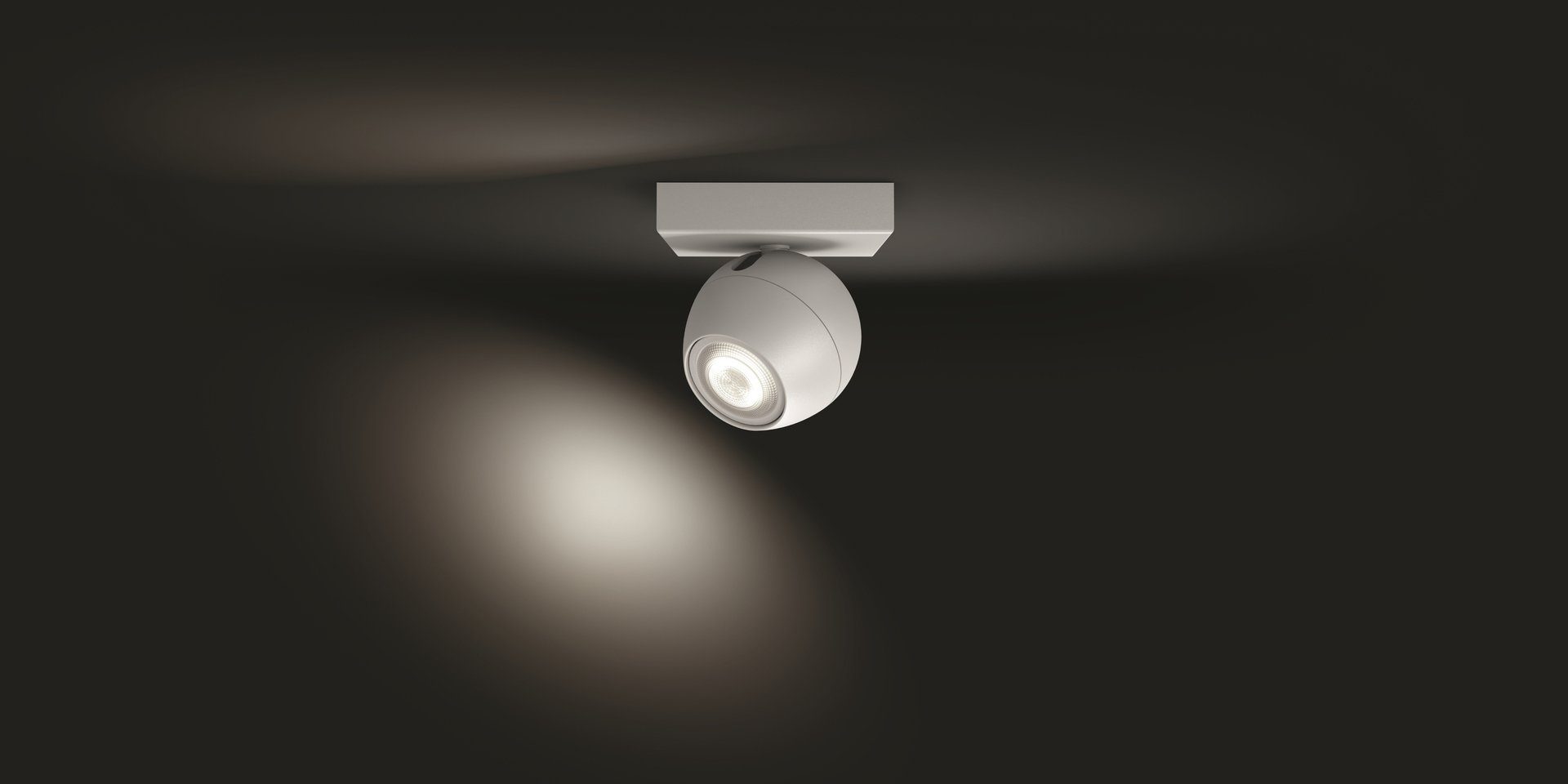 Warmweiß LED Hue wechselbar, Dimmfunktion, Flutlichtstrahler Buckram, Philips Leuchtmittel