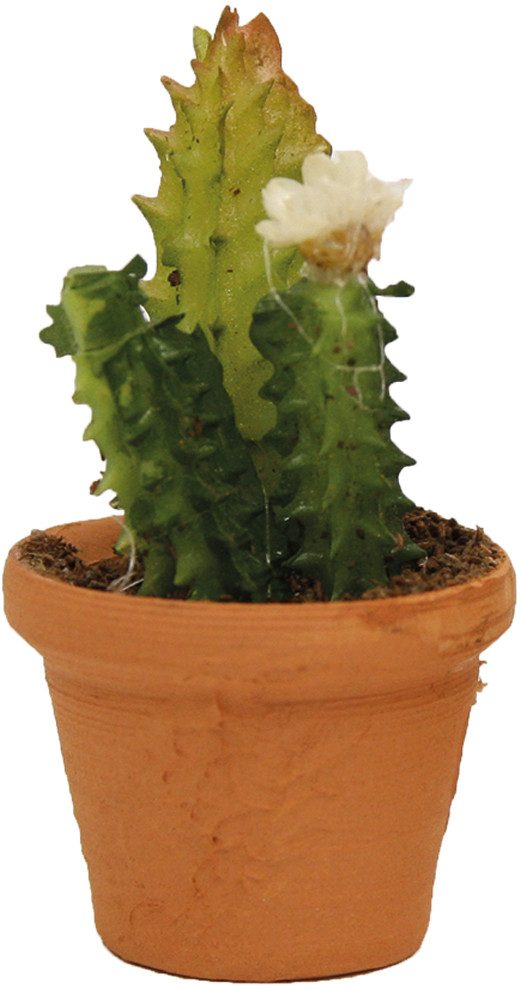 FADEDA Krippen-Zubehör FADEDA Blumentopf, Kaktus, Höhe in cm: 3,5