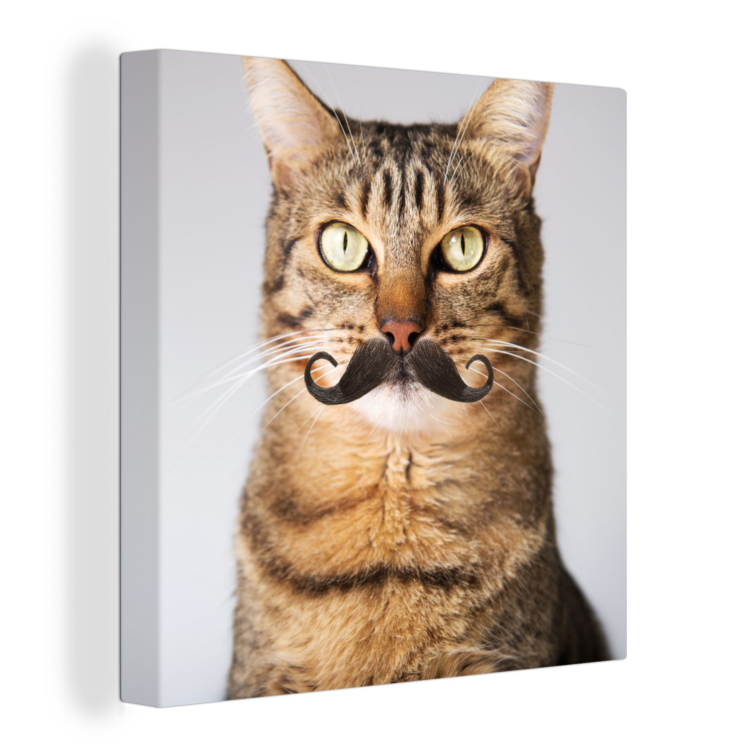 OneMillionCanvasses® Leinwandbild Katze - Schnauzbart - Hipster, (1 St), Leinwand Bilder für Wohnzimmer Schlafzimmer