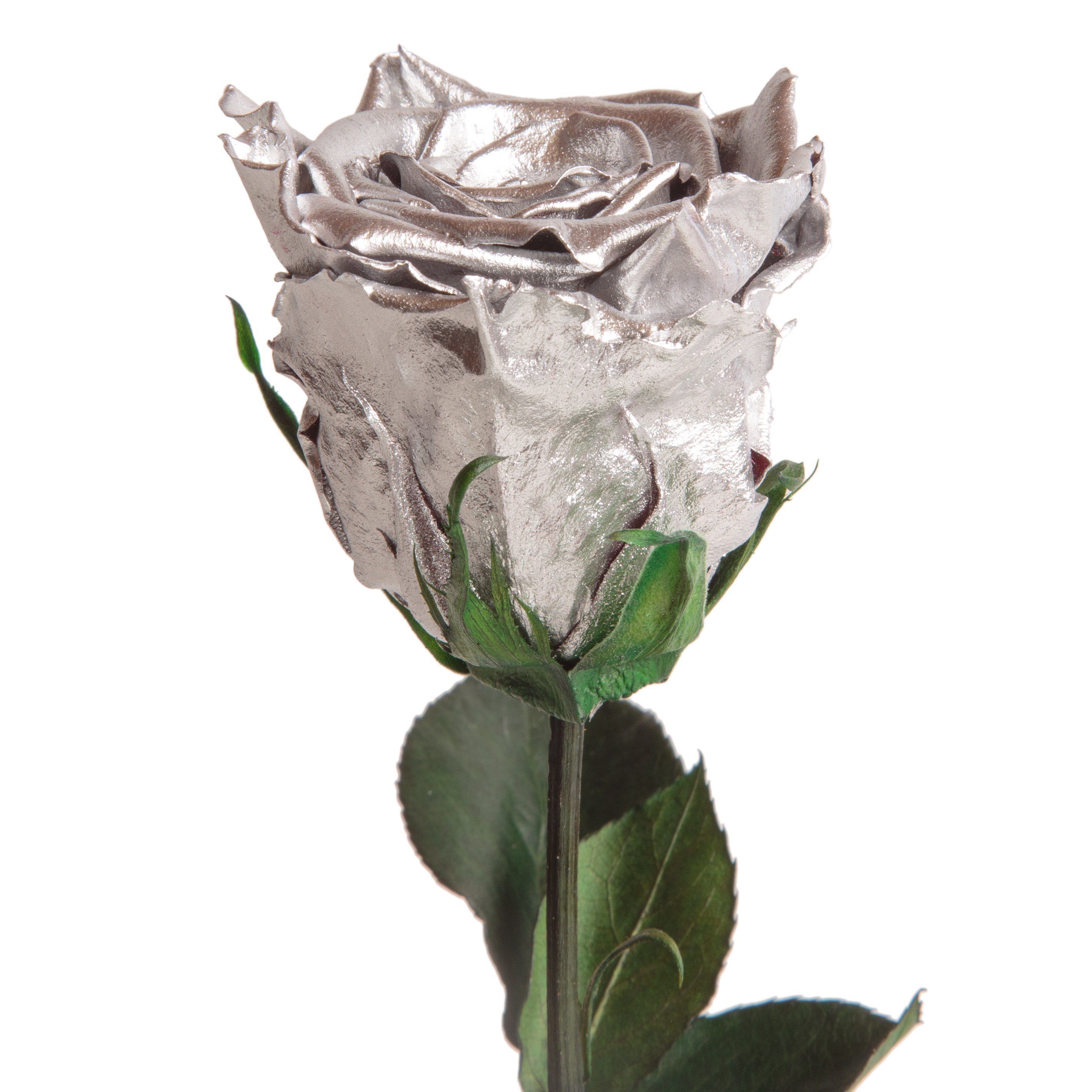 Kunstblume Ewige Rose konserviert mit Stiel günstig online kaufen