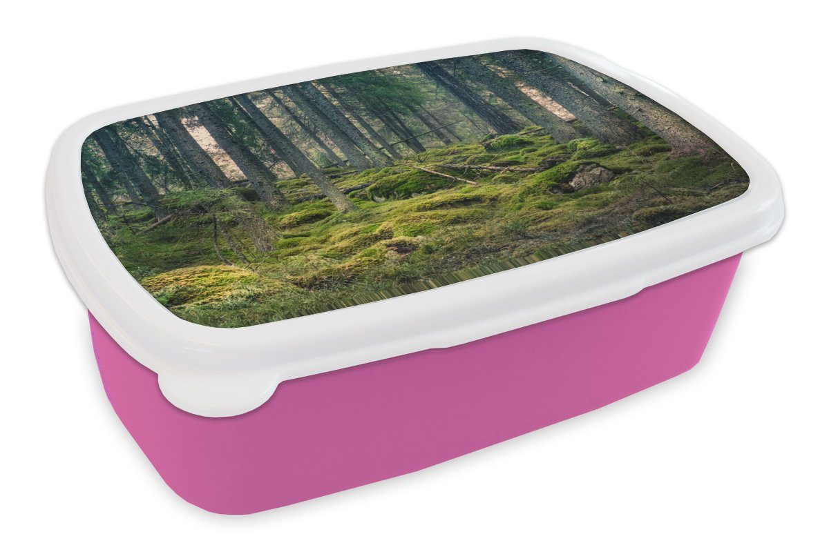Baum Kinder, Moos, MuchoWow (2-tlg), - für Lunchbox Mädchen, rosa Wald Kunststoff Kunststoff, Erwachsene, - Snackbox, Brotbox Brotdose