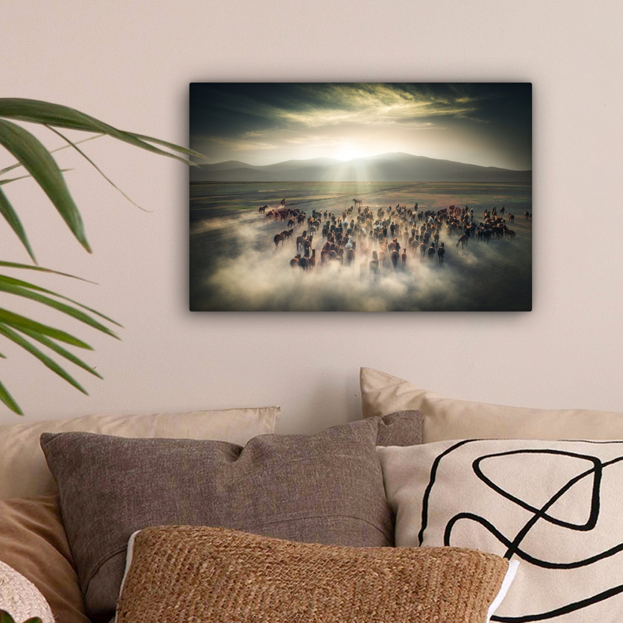 OneMillionCanvasses® Leinwandbild Pferde - Natur - Nebel - Wildtiere, Fotod günstig online kaufen