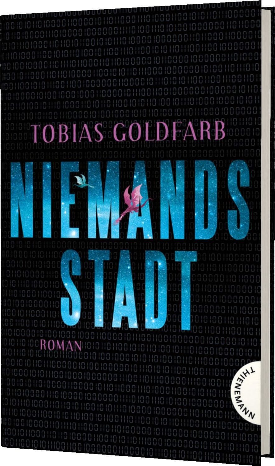 Niemandsstadt / Tobias Goldfarb