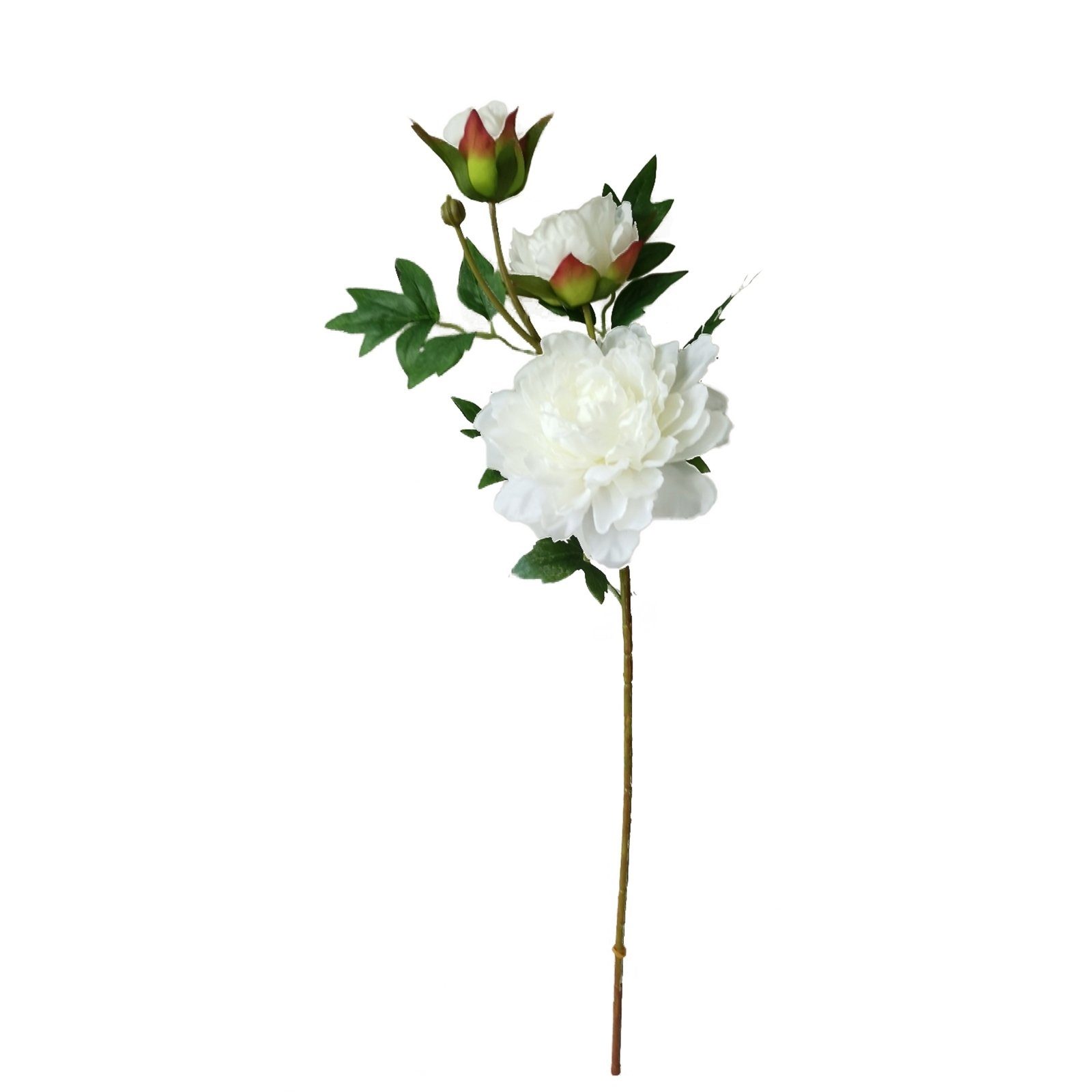 Kunstblume Pfingstrose Weiß 74 cm Kunstblume Flora Pfingstrose, HTI-Living, Höhe 74 cm