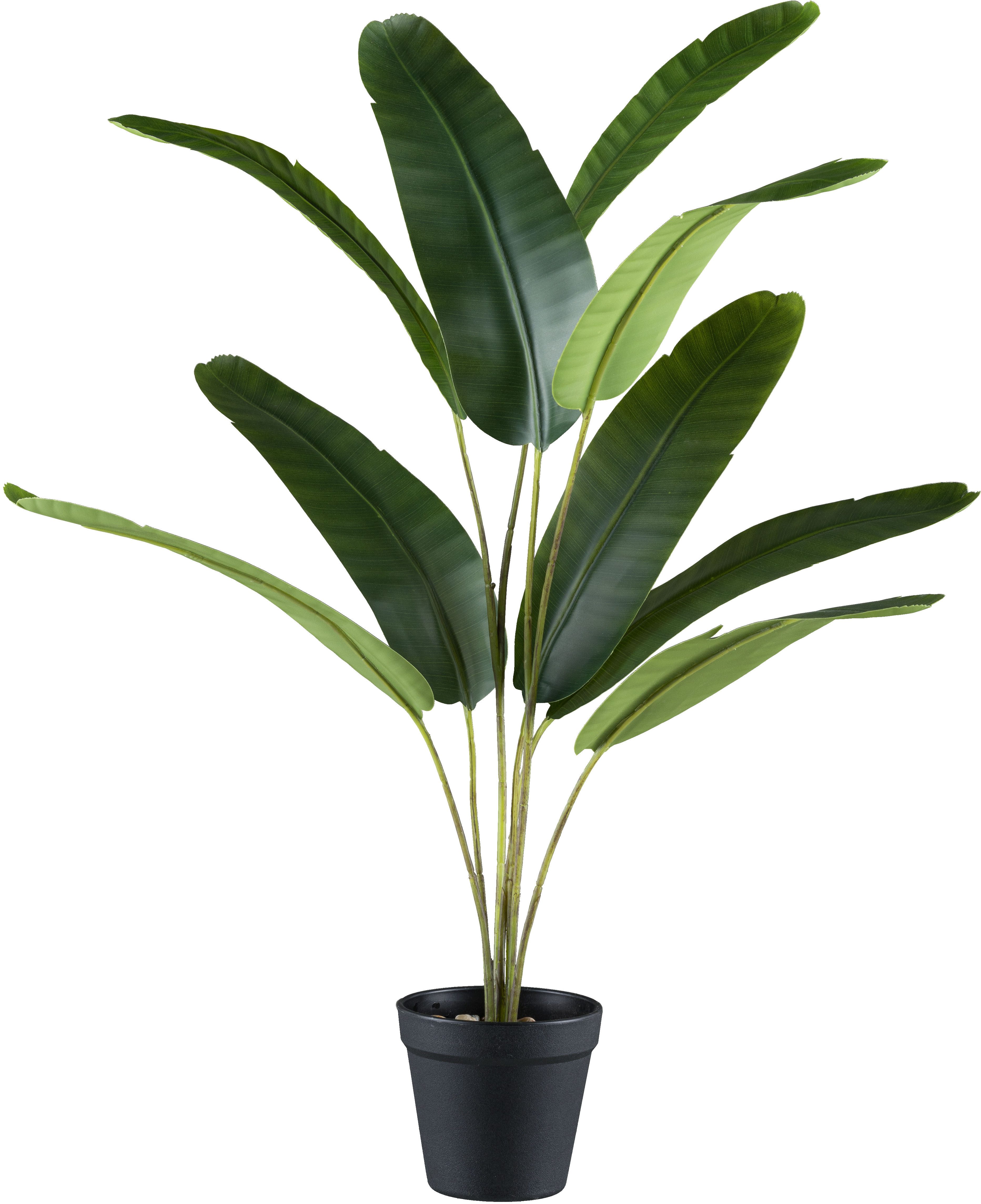 Kunstpalme Bananenpflanze, Creativ green, Höhe 65 cm, mit neun Blattwedeln günstig online kaufen